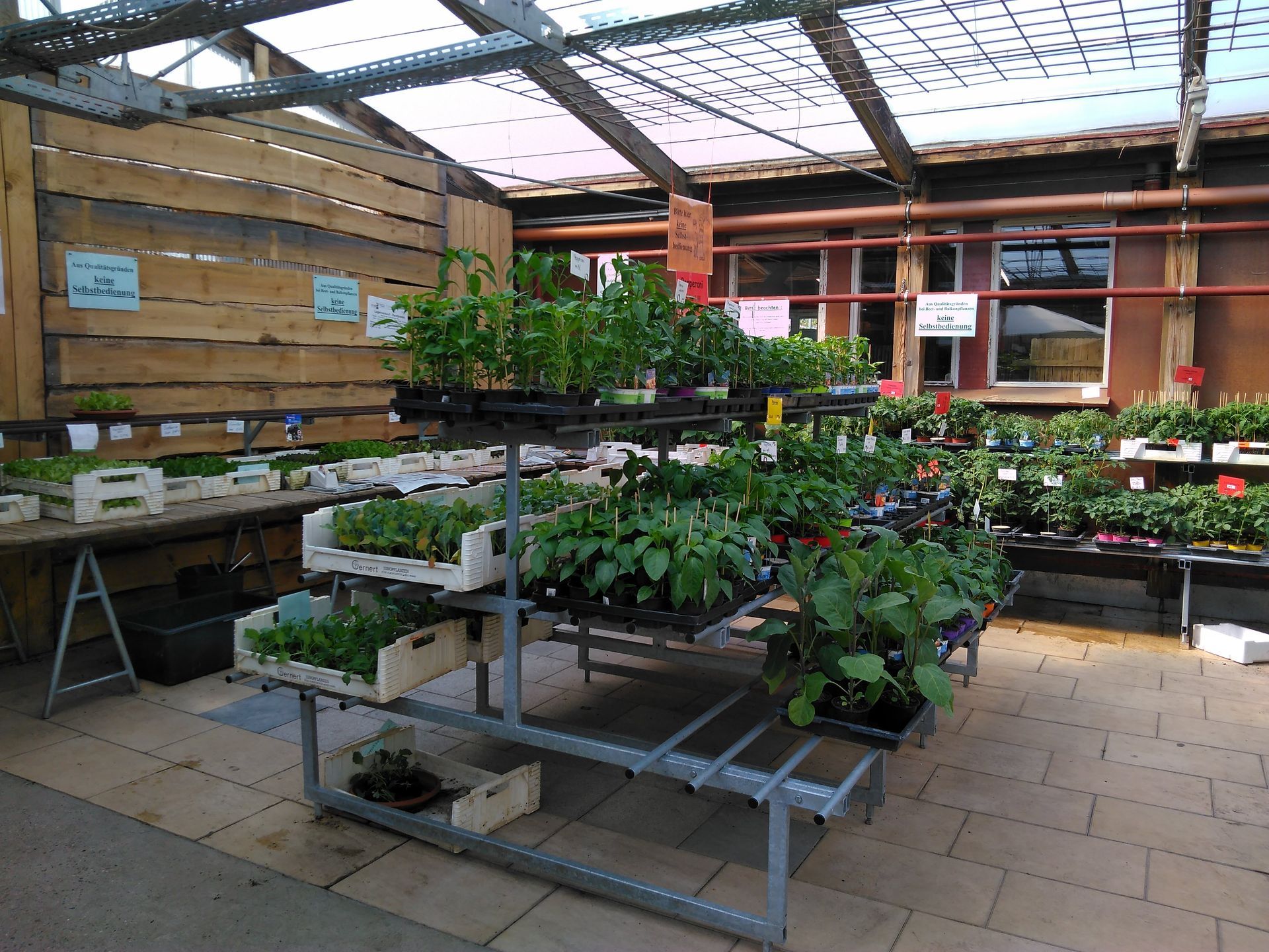 Gewächshausinnenraum mit Pflanzenausstellungen. In Regalen stehen unter einem durchsichtigen Dach verschiedene Topfpflanzen zum Verkauf.