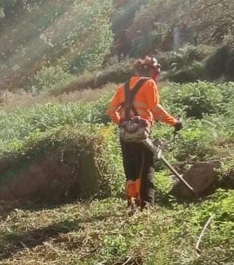 Un hombre está cortando el césped con una cortadora de césped en un campo.