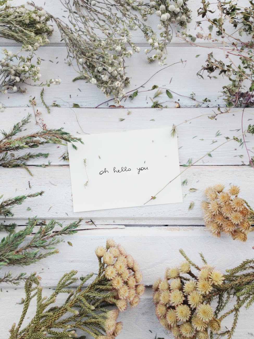 getrocknete Kräuter