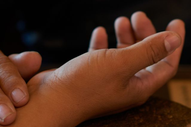 Kräuter der Traditionellen Chinesischen Medizin