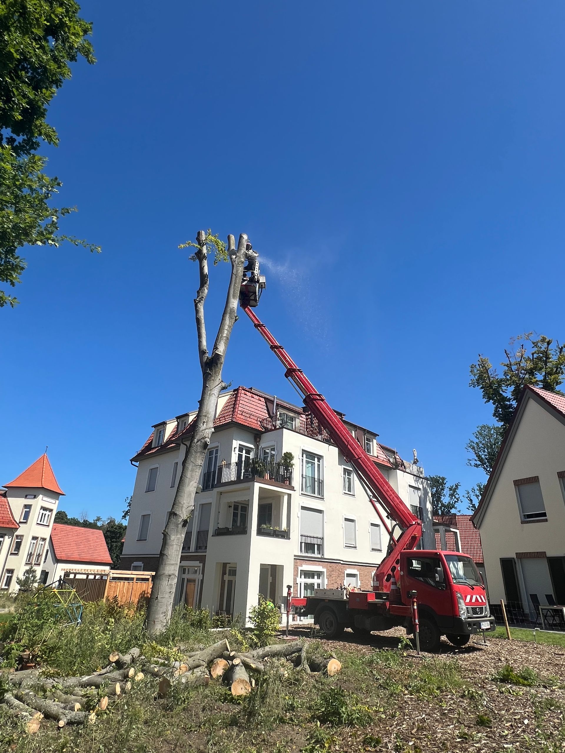 Baumfällarbeiten Mike Vester