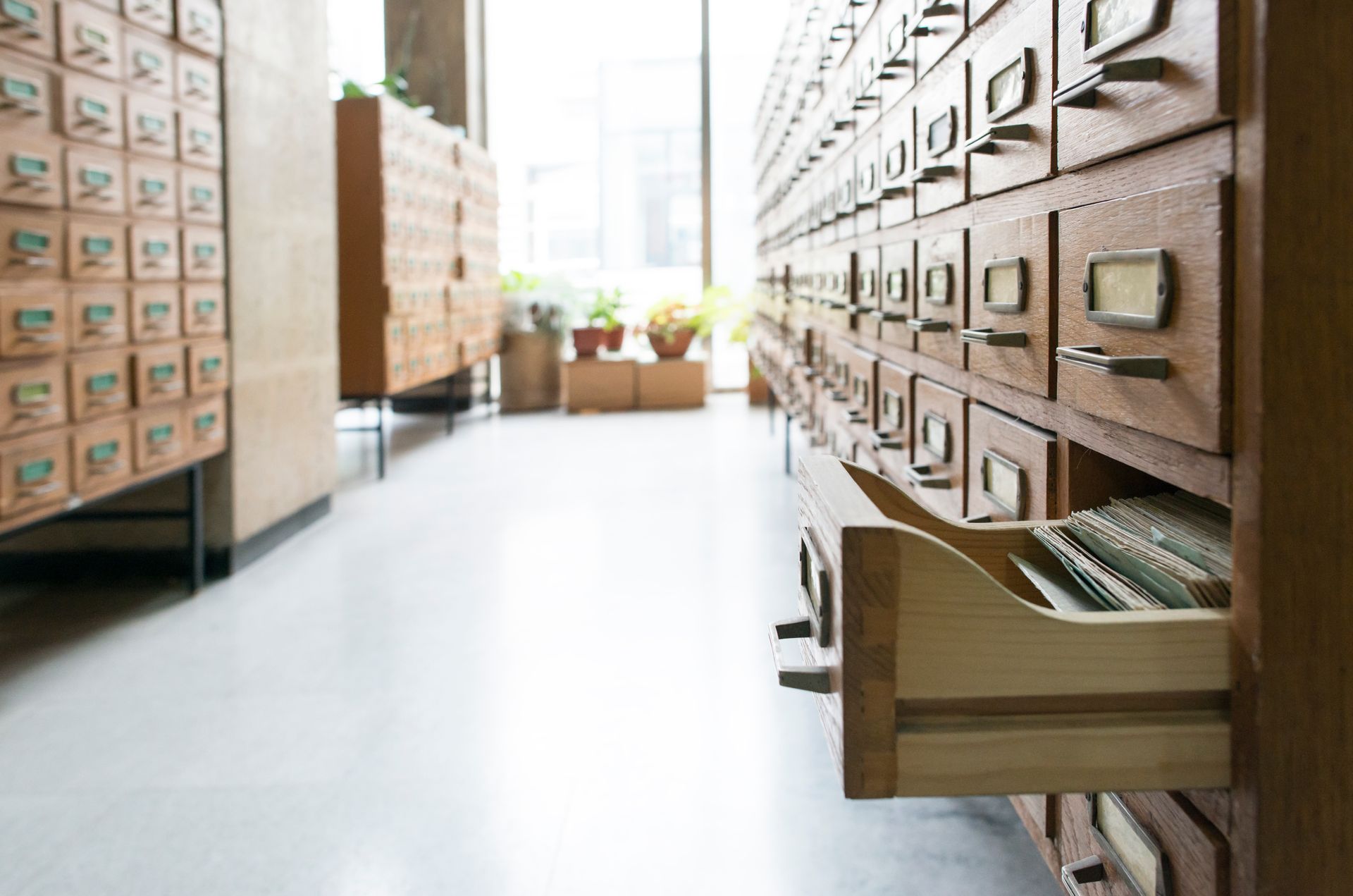 Une allée de bibliothèque bordée de rangées de tiroirs de catalogue, où la lumière du soleil inonde une pièce lumineuse.
