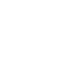 sln-lvipalvelu
