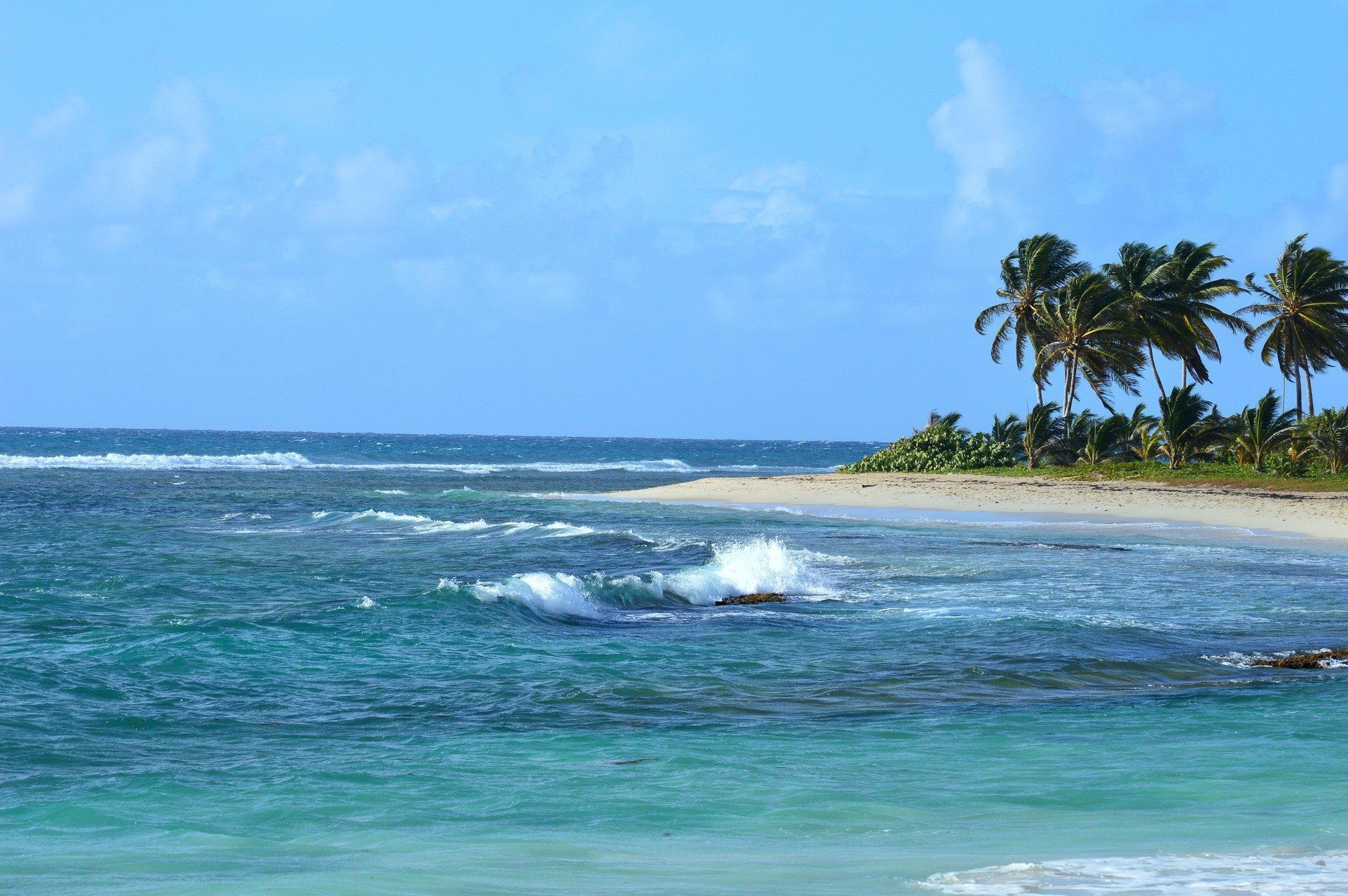 Plage tropicale aux eaux turquoise, aux petites vagues et aux palmiers sous un ciel bleu