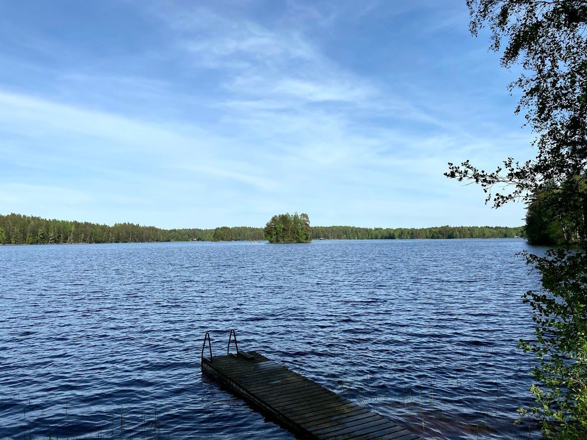 niemikotka