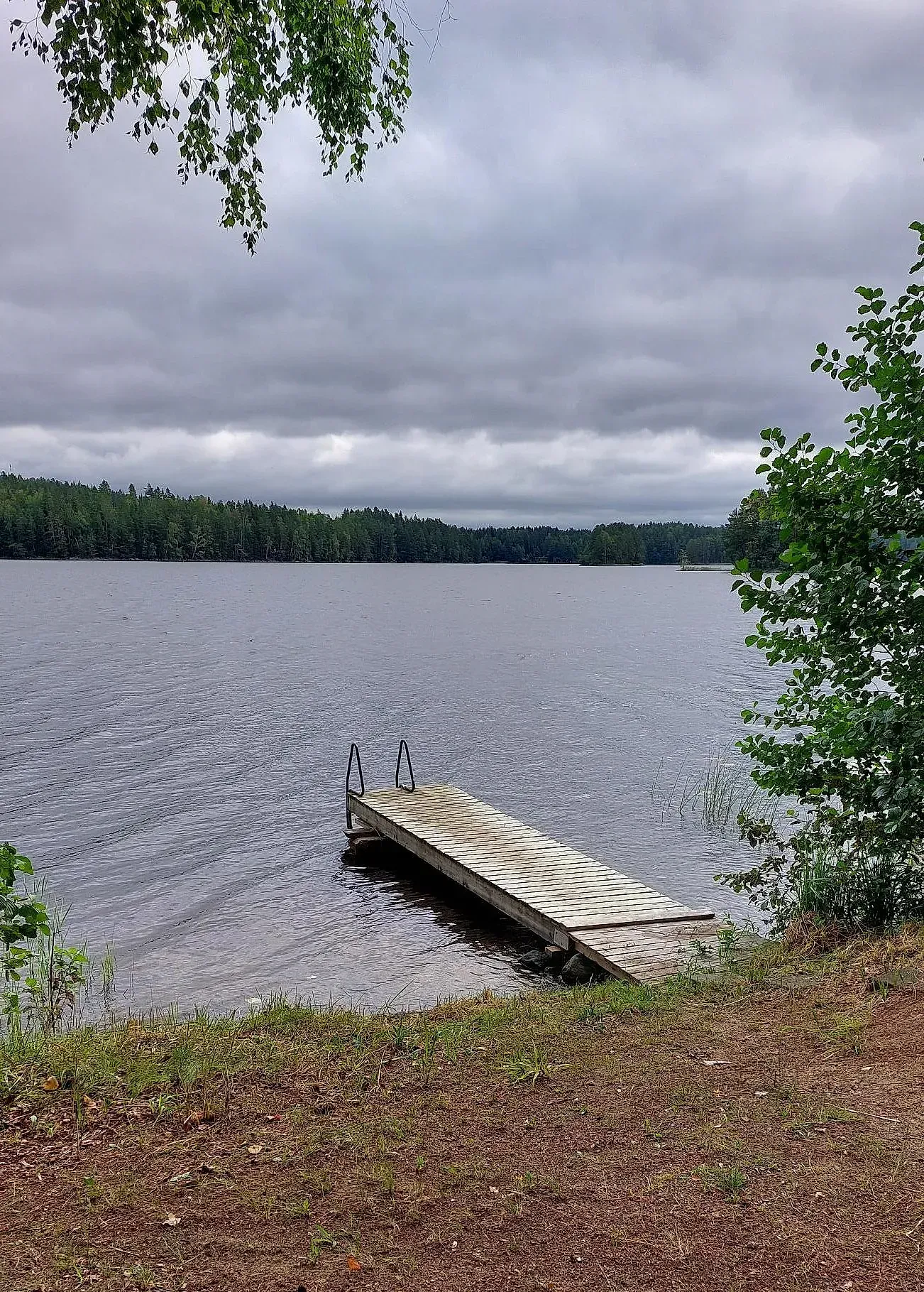 niemikotka