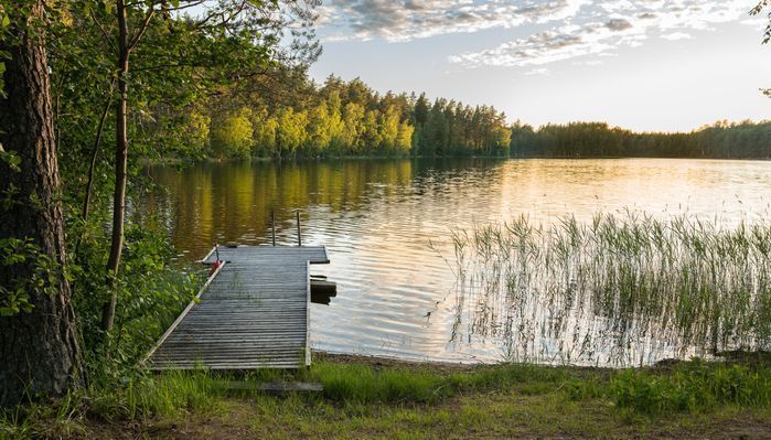 niemikotka