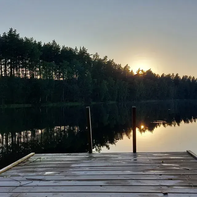 niemikotka