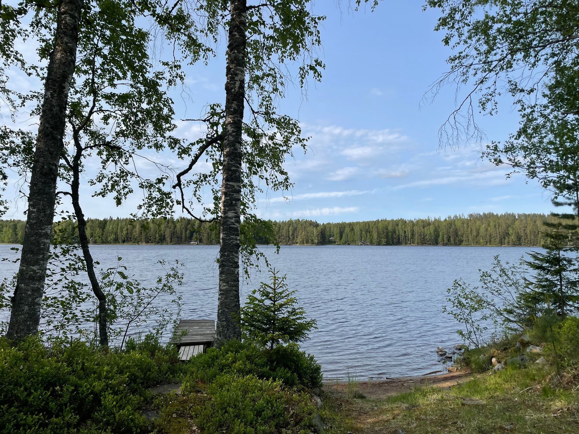 niemikotka