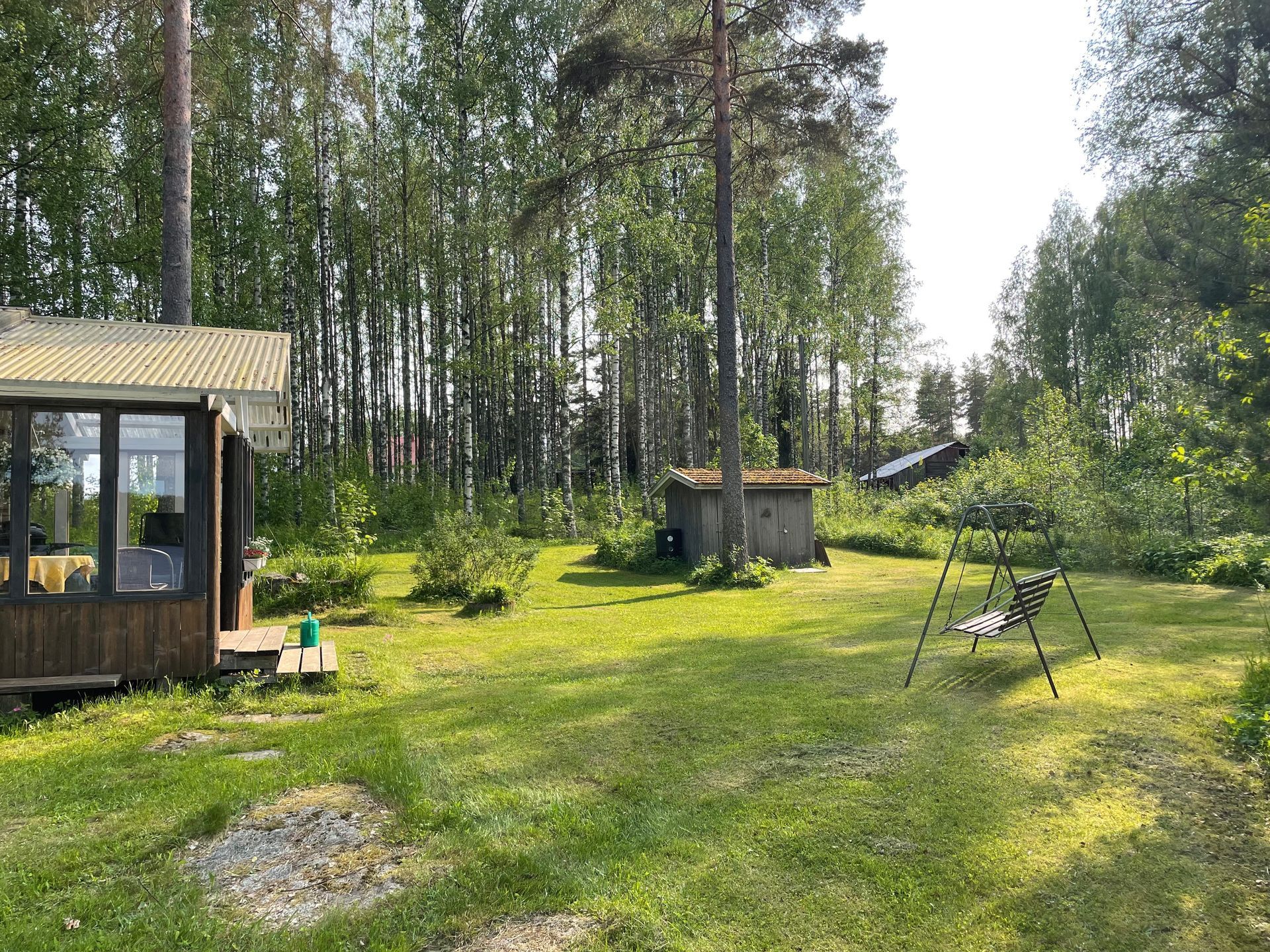niemikotka