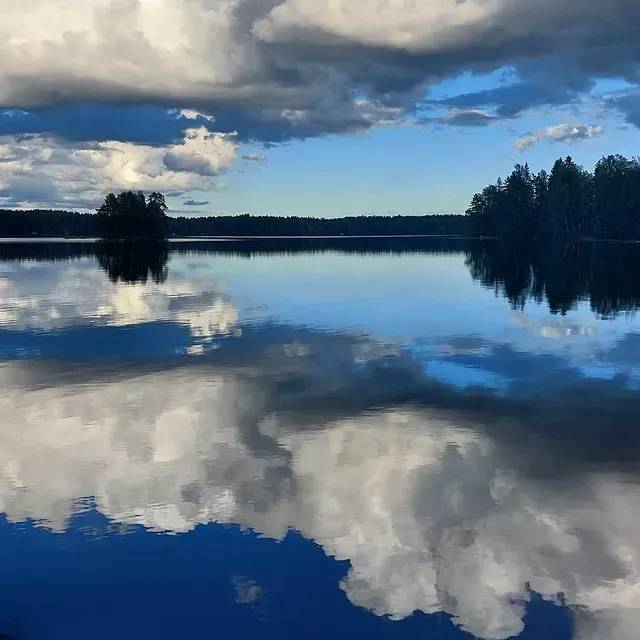 niemikotka