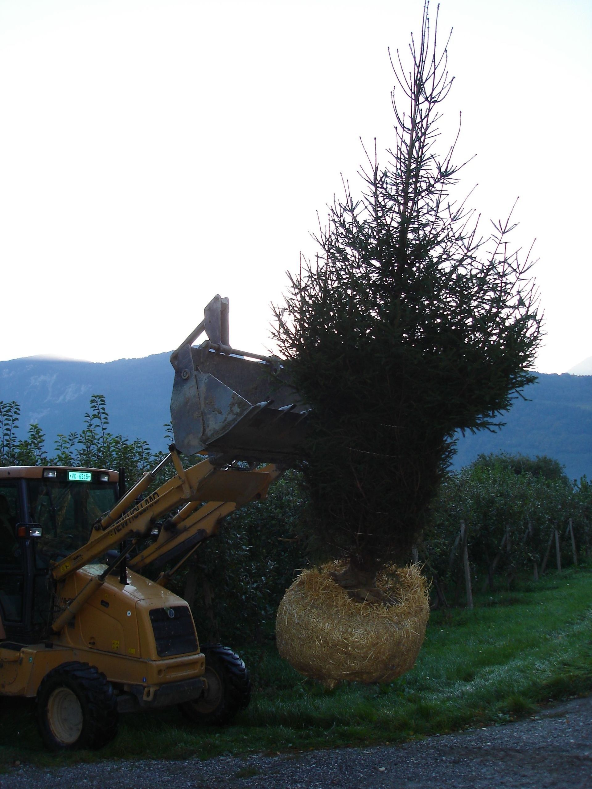 Naoux Paysagiste - watering