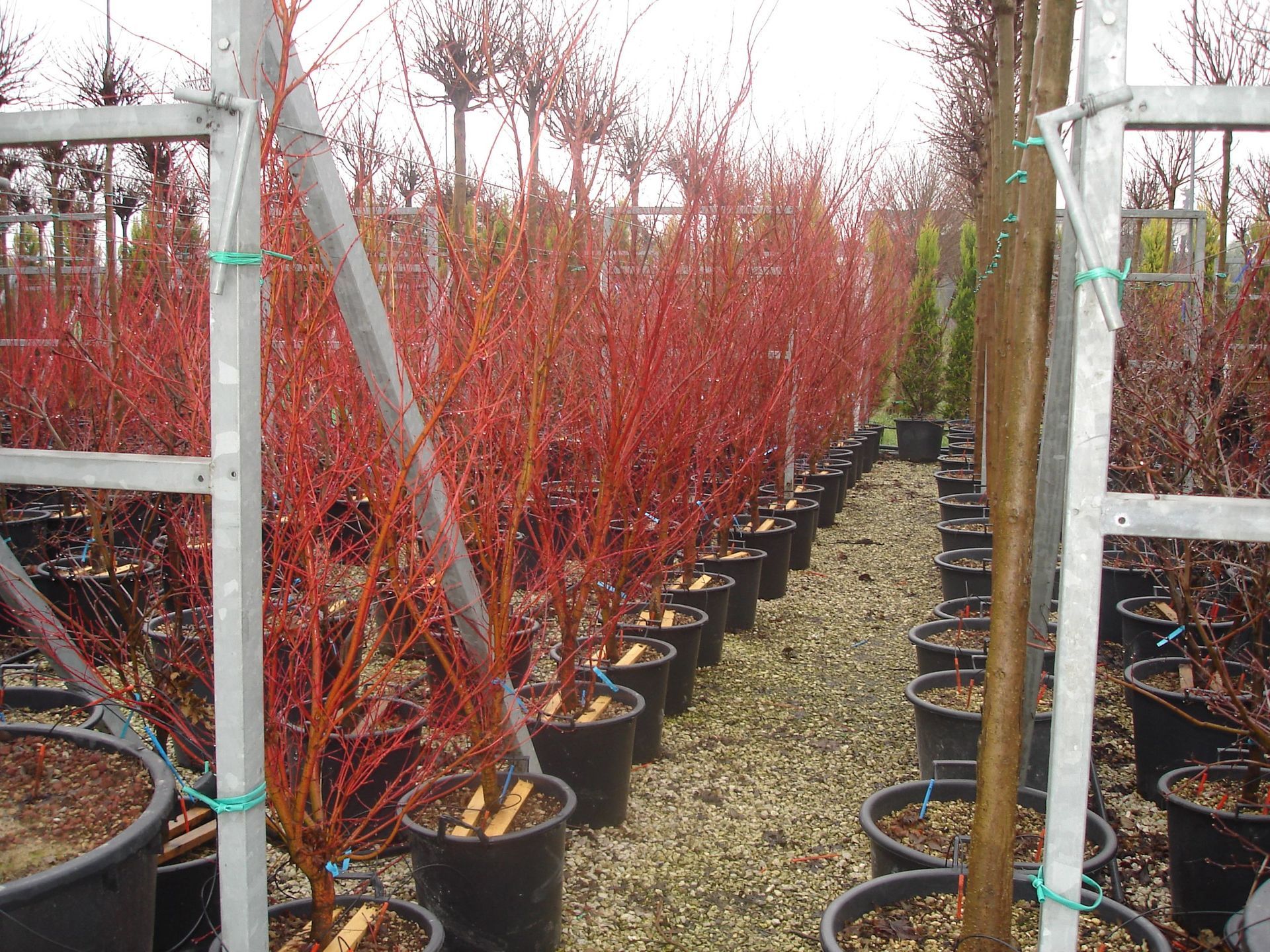 Naoux Paysagiste - watering