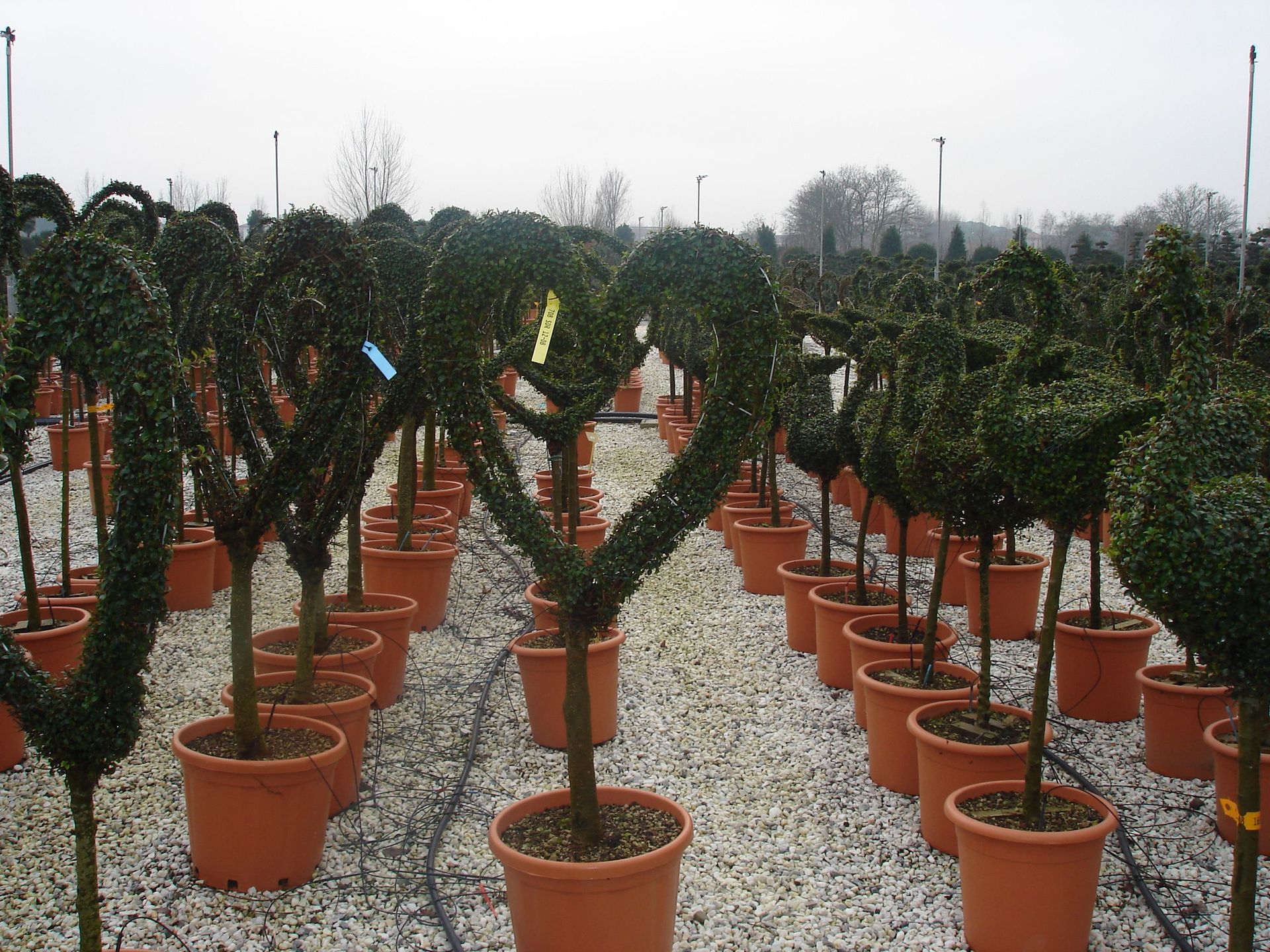 Naoux Paysagiste - watering