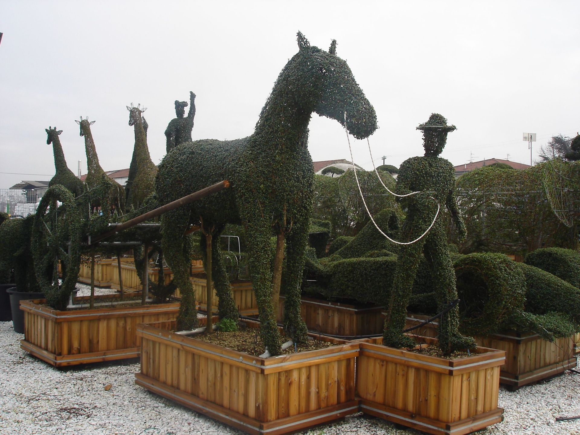 Naoux Paysagiste - watering