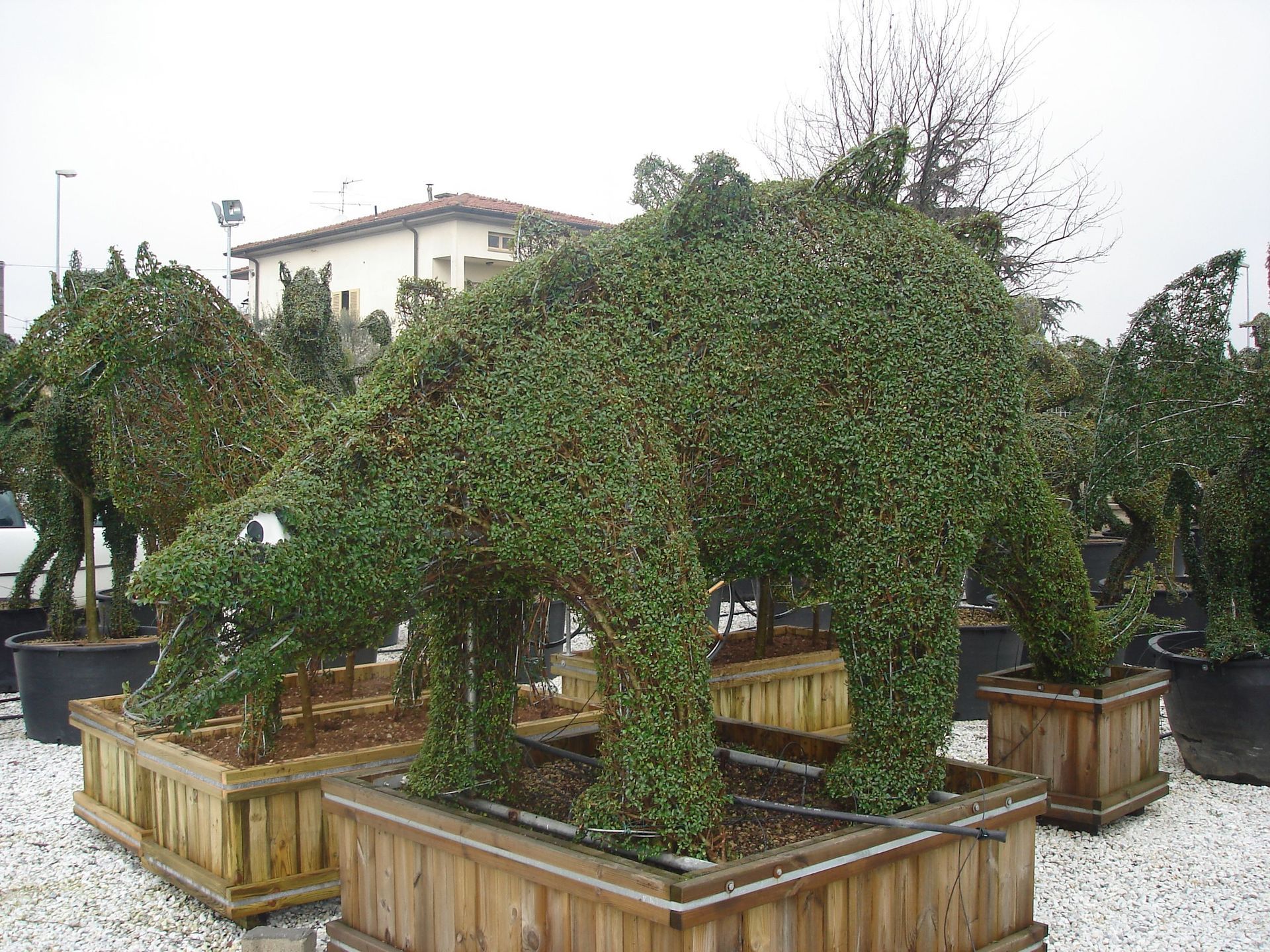 Naoux Paysagiste - watering