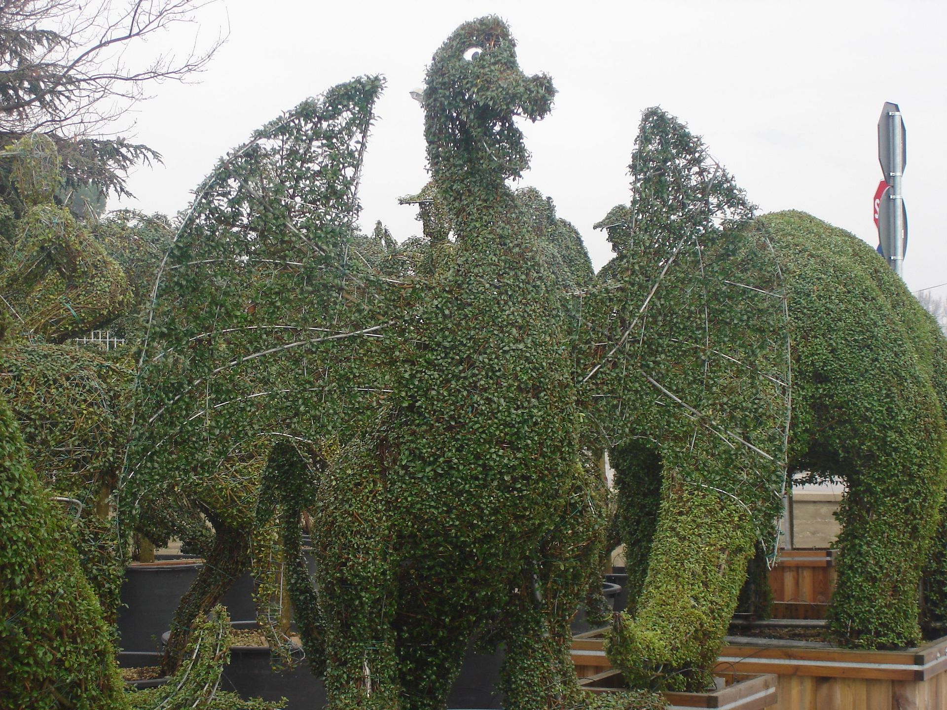 Naoux Paysagiste - watering