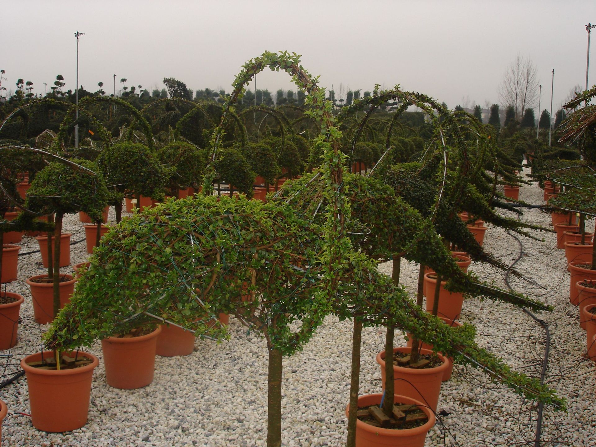 Naoux Paysagiste - watering