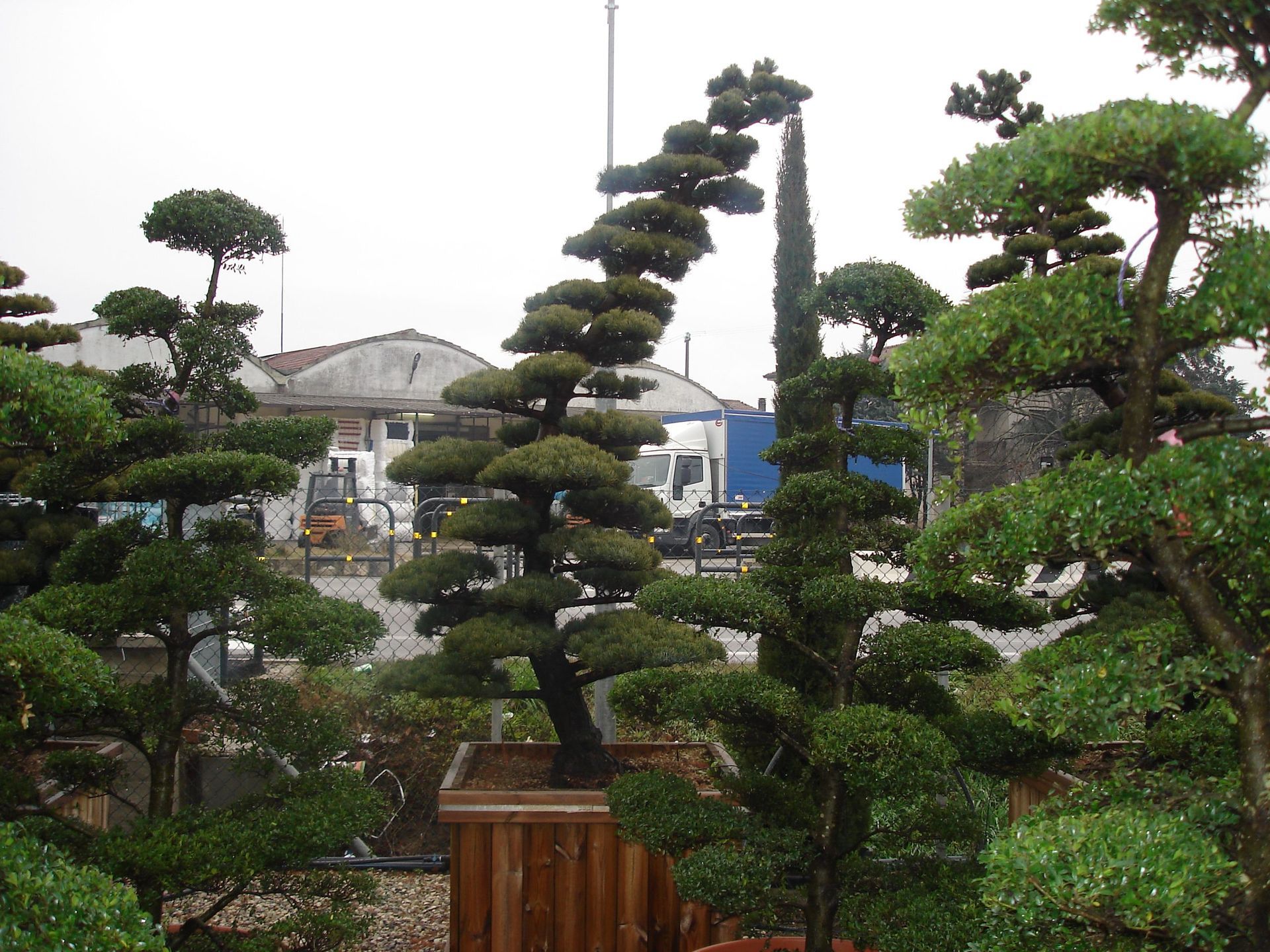 Naoux Paysagiste - watering