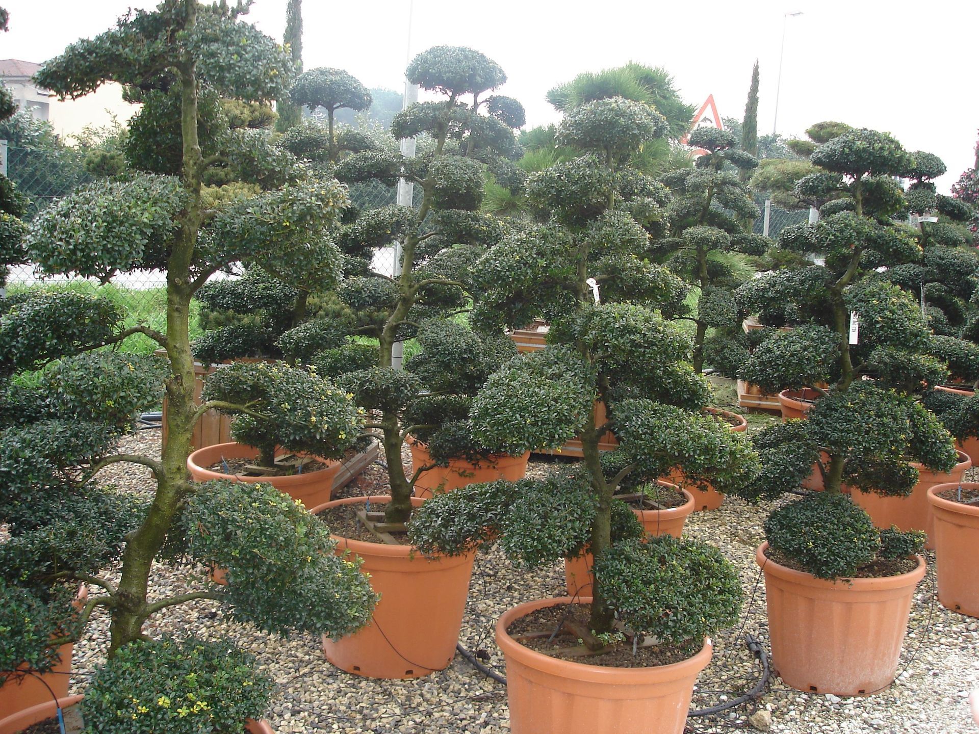 Naoux Paysagiste - watering