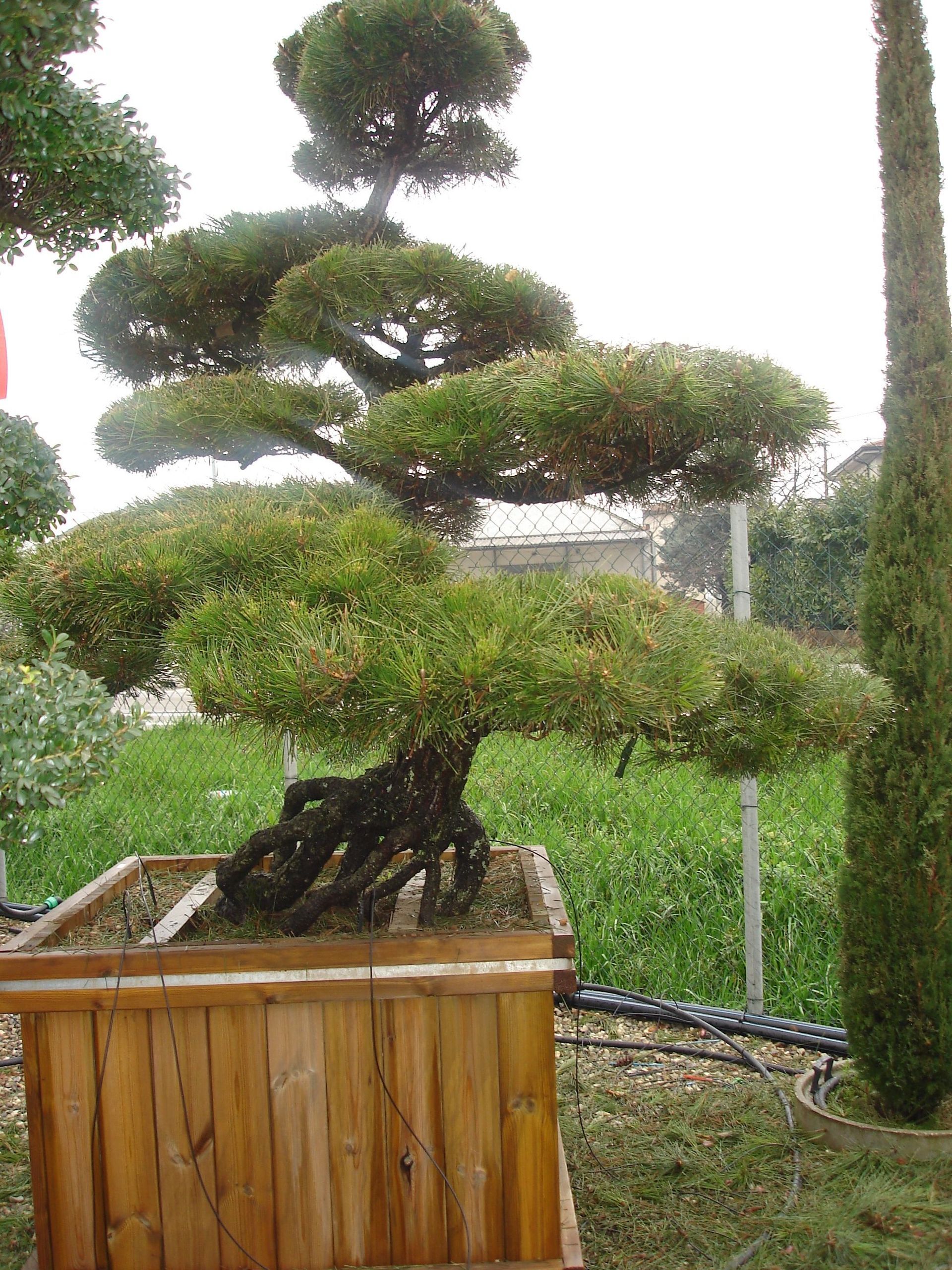 Naoux Paysagiste - watering