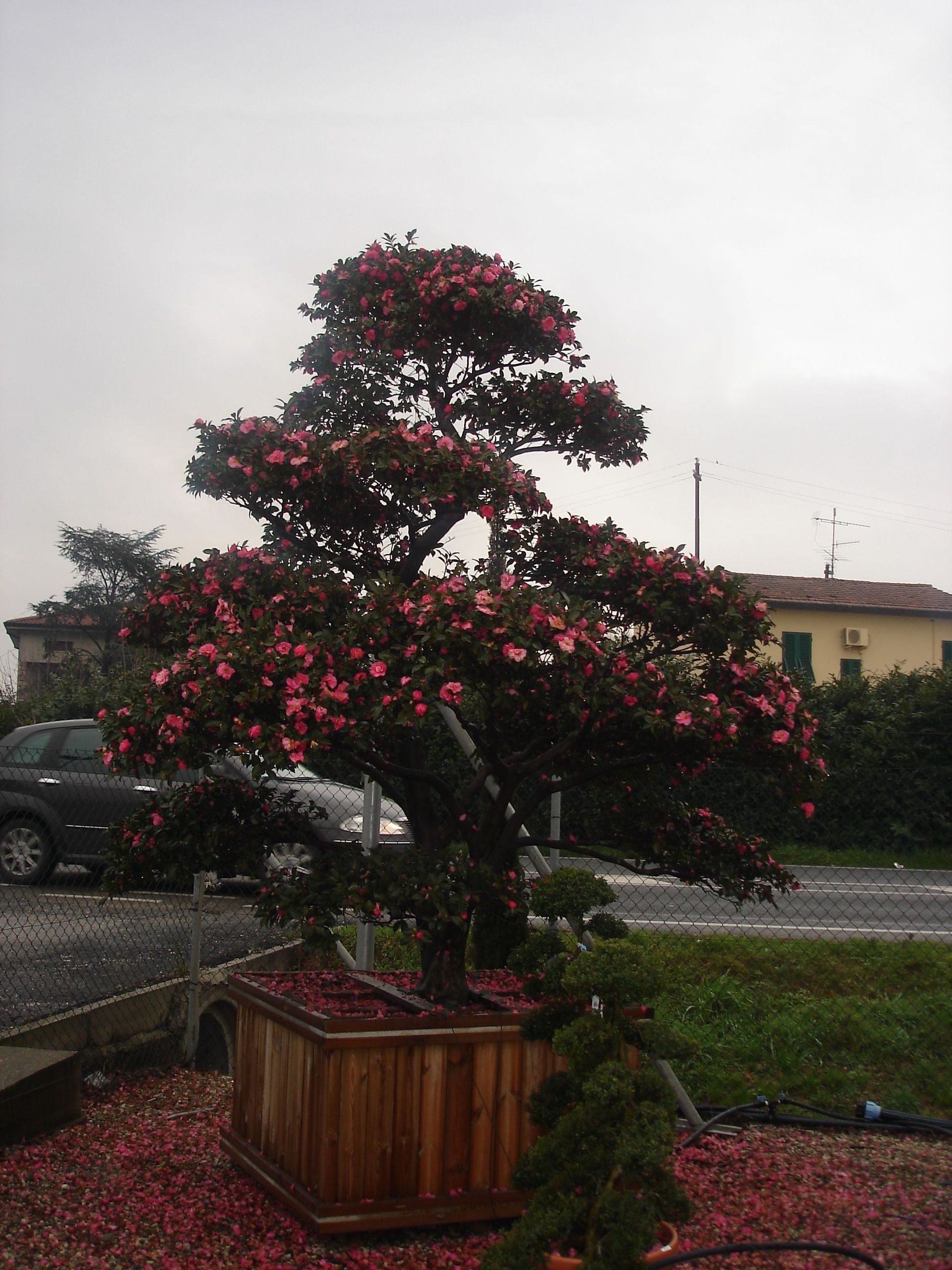 Naoux Paysagiste - watering
