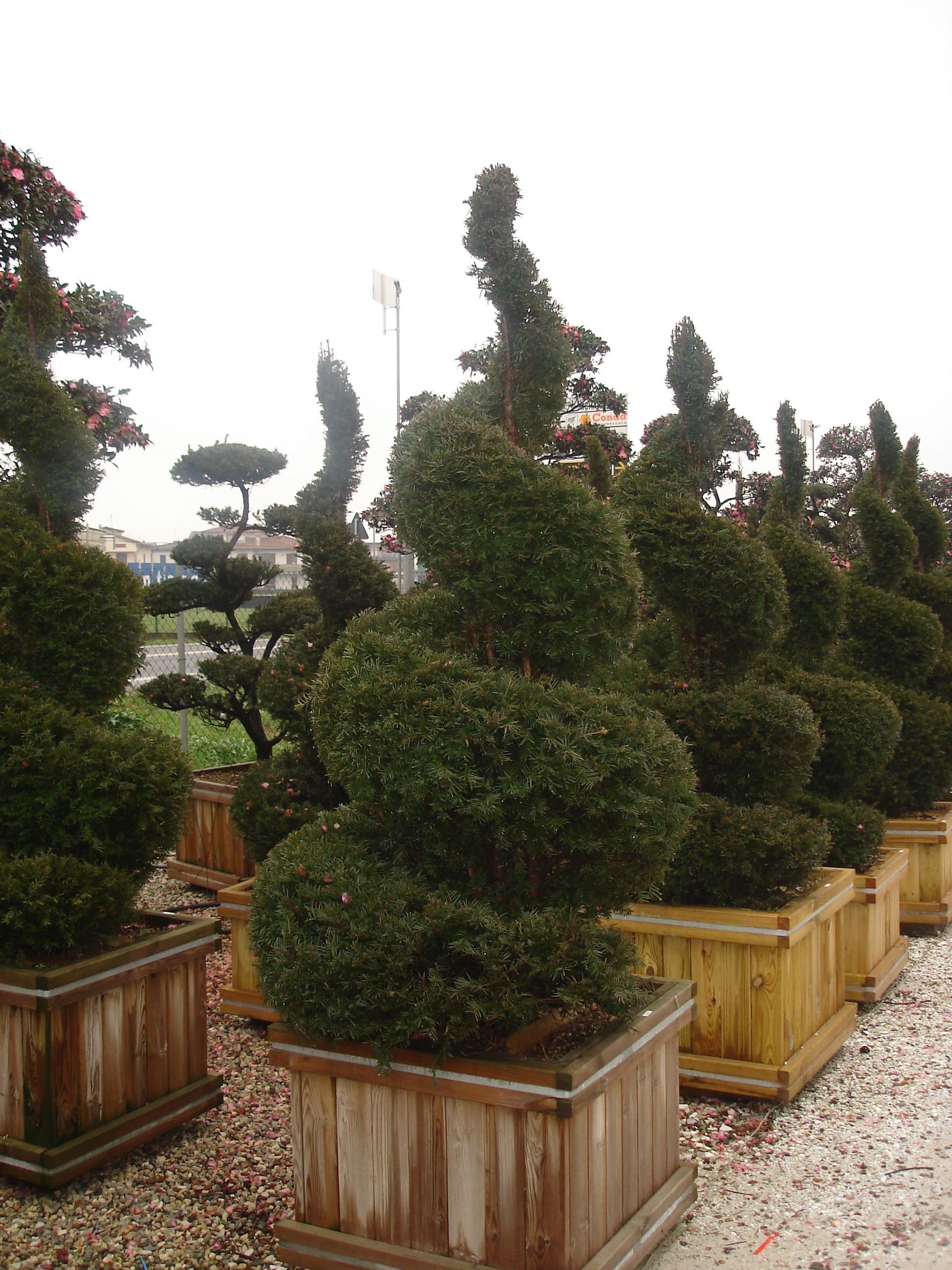 Naoux Paysagiste - watering