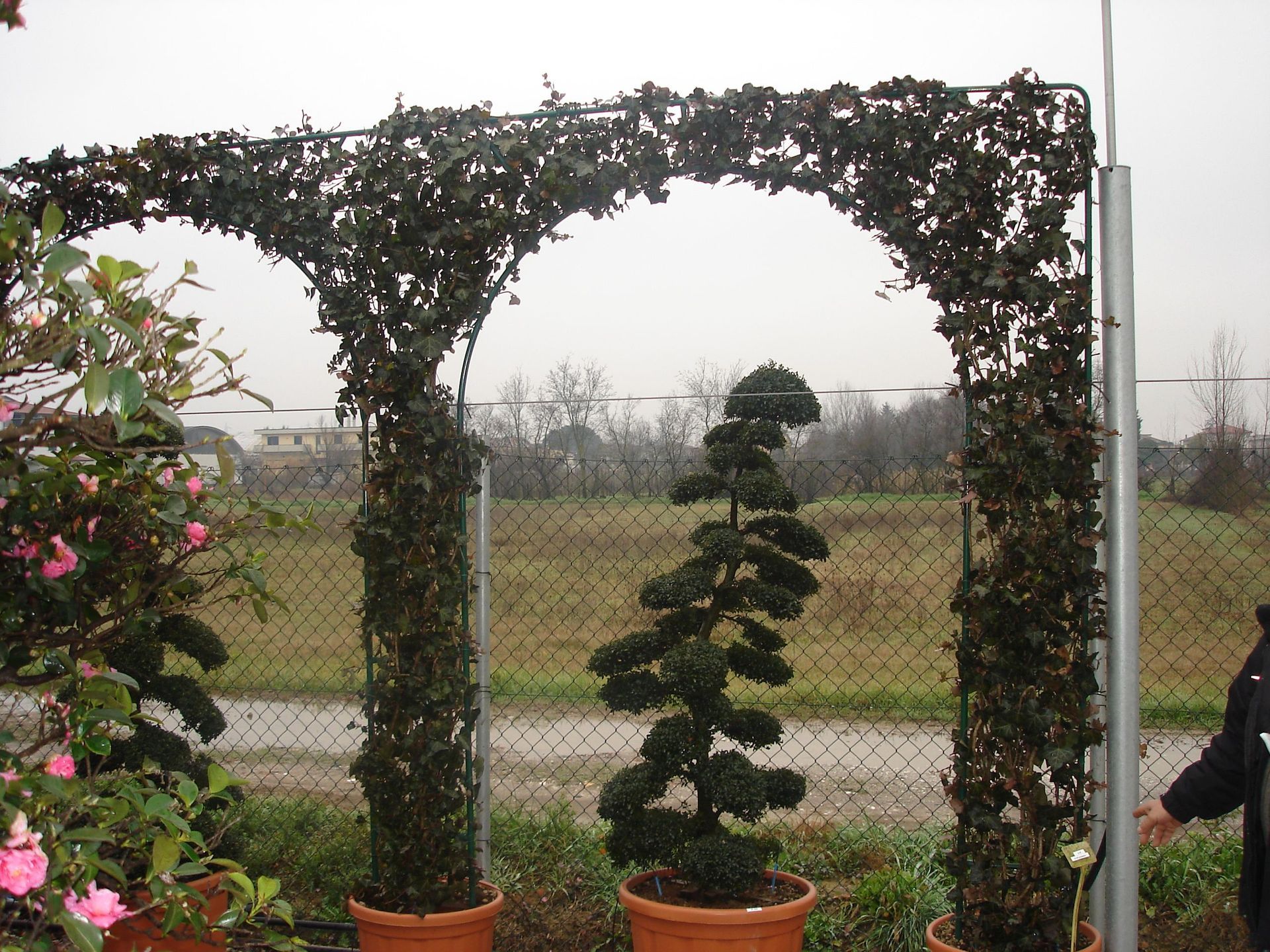 Naoux Paysagiste - watering