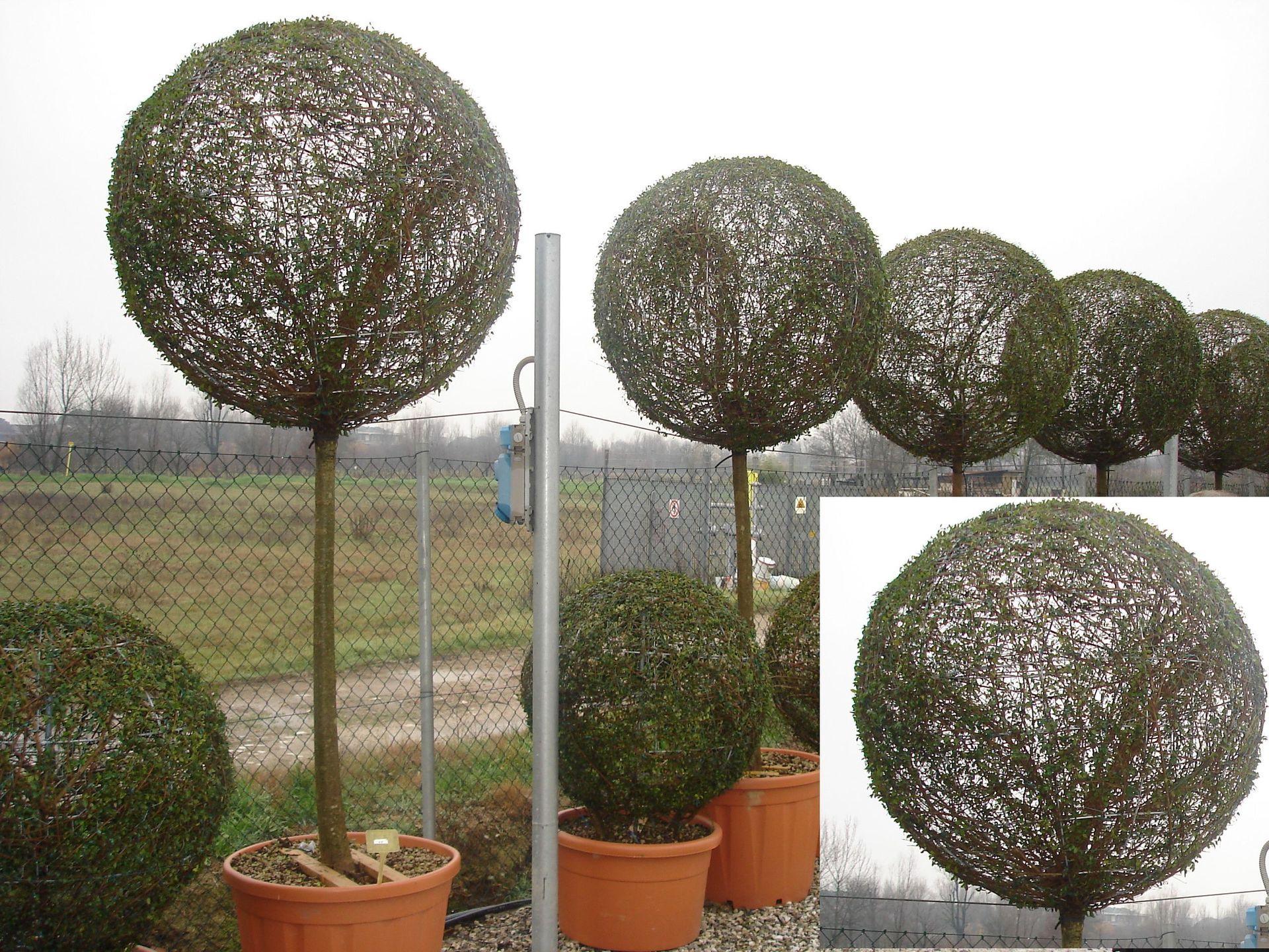 Naoux Paysagiste - watering