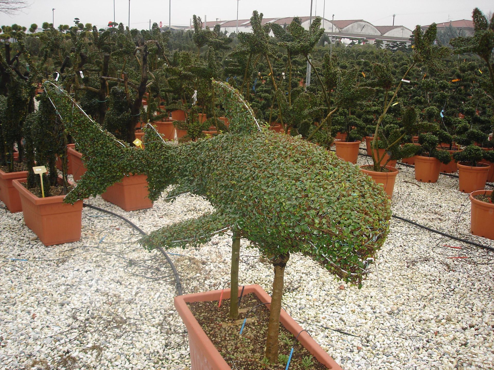 Naoux Paysagiste - watering