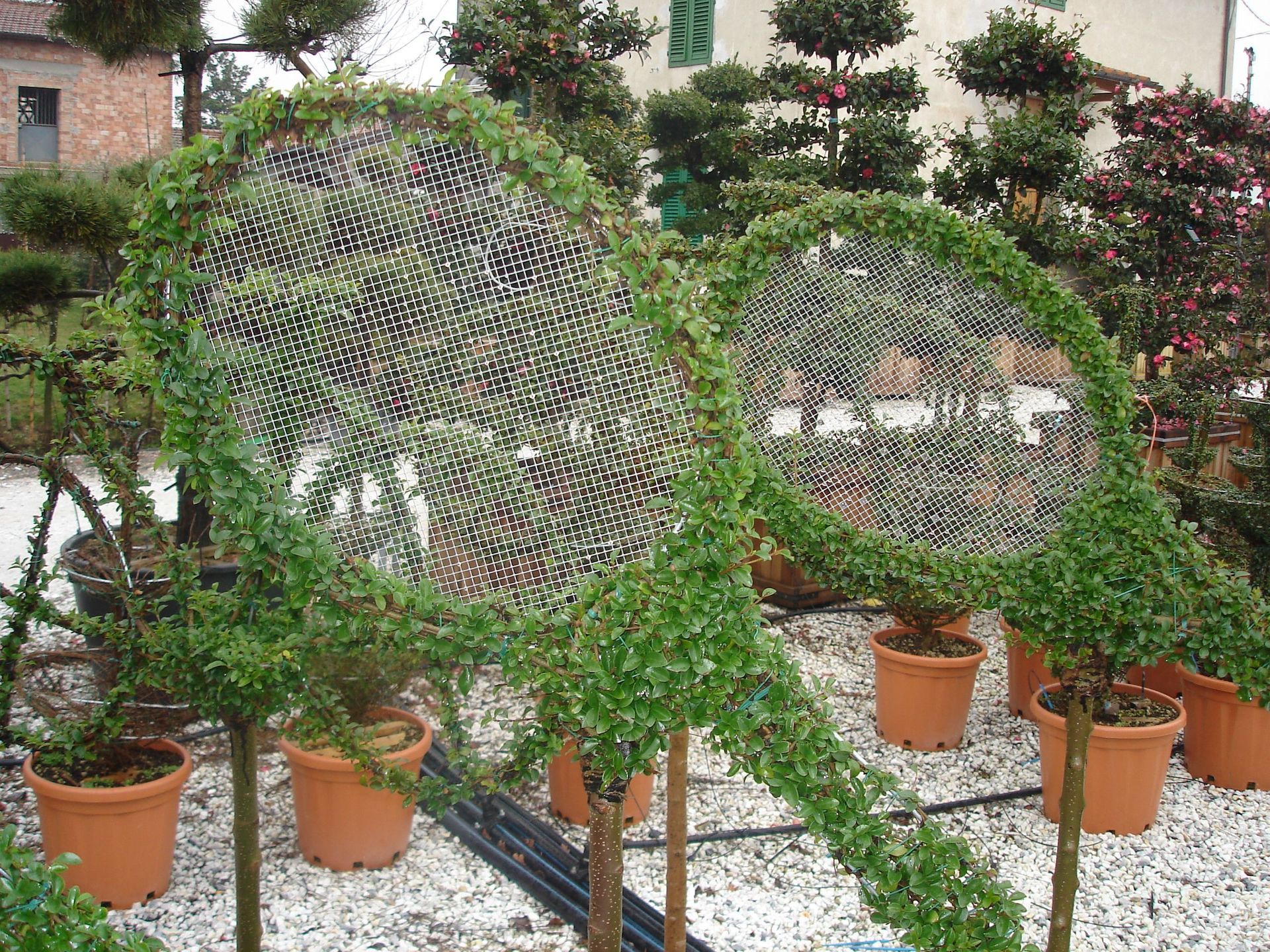 Naoux Paysagiste - watering