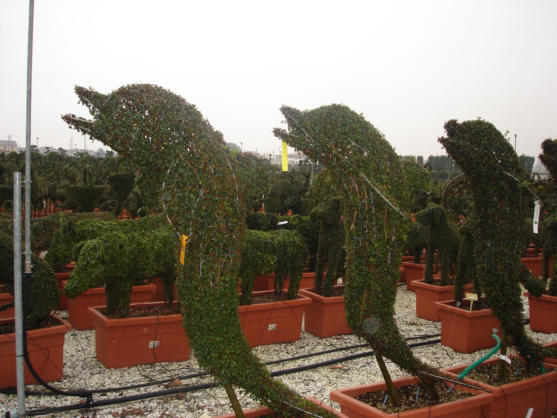 Naoux Paysagiste - watering