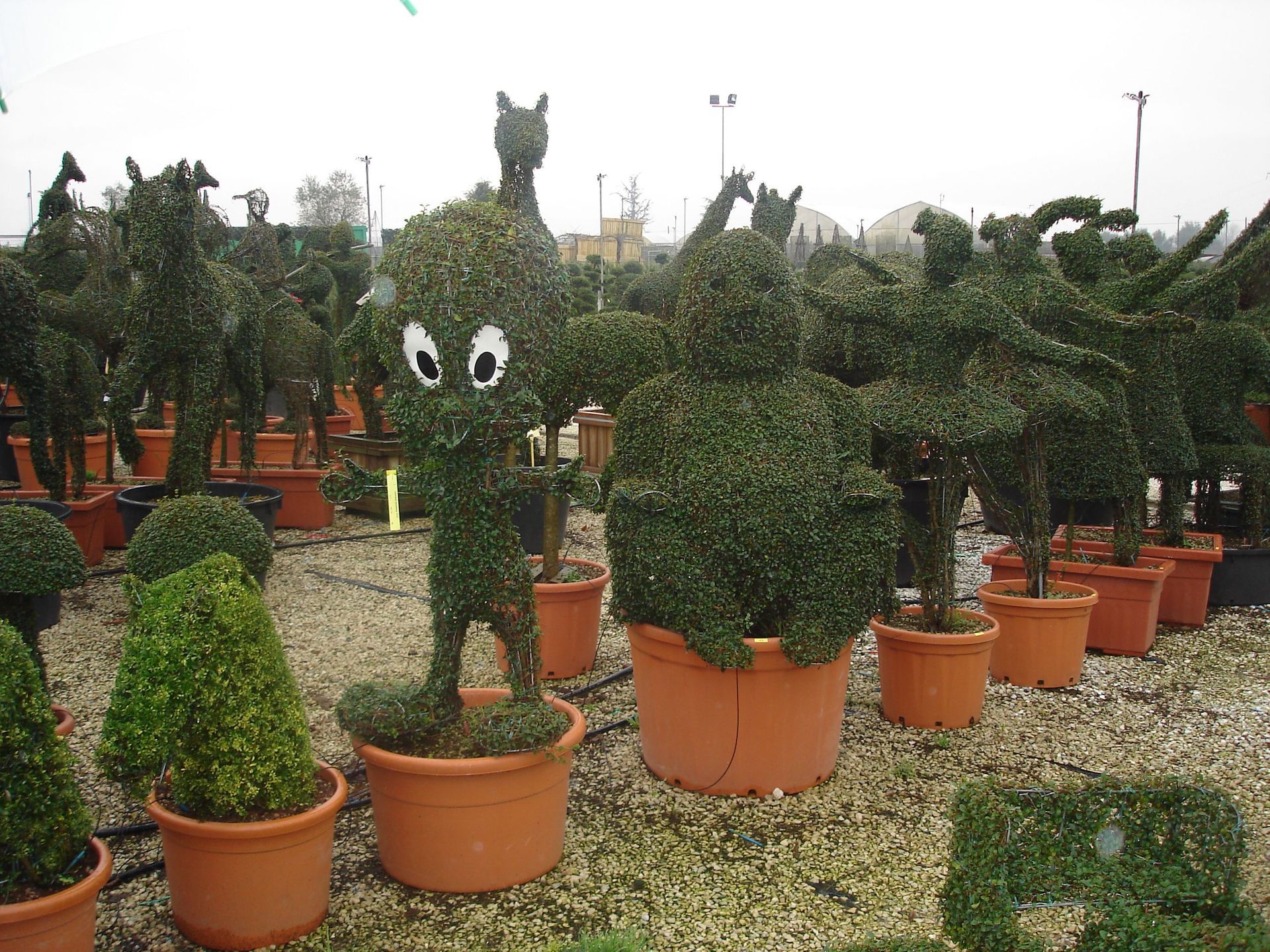 Naoux Paysagiste - watering