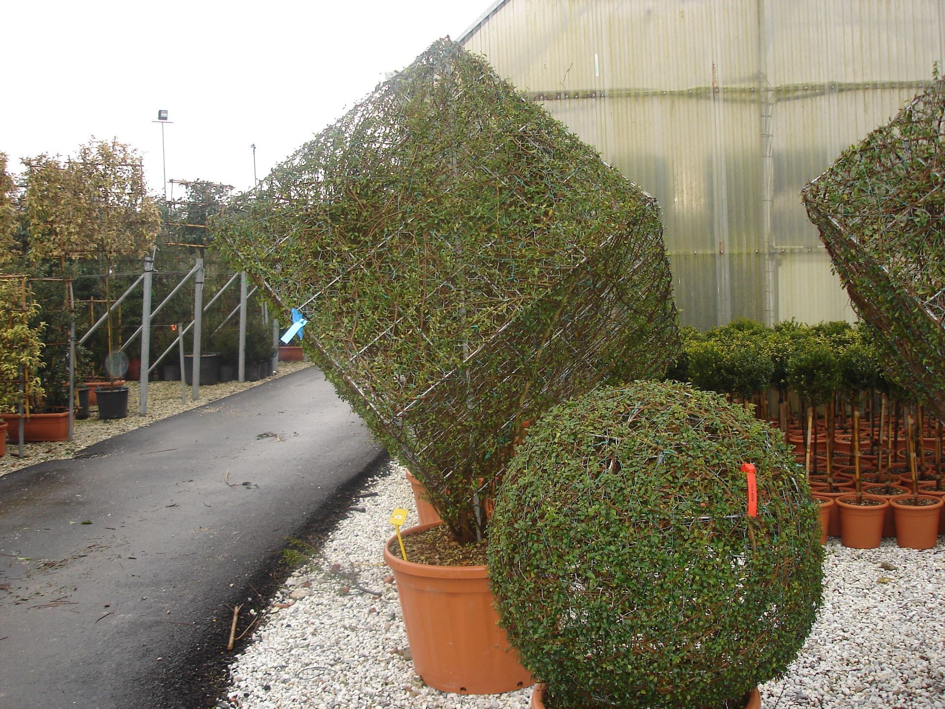 Naoux Paysagiste - watering