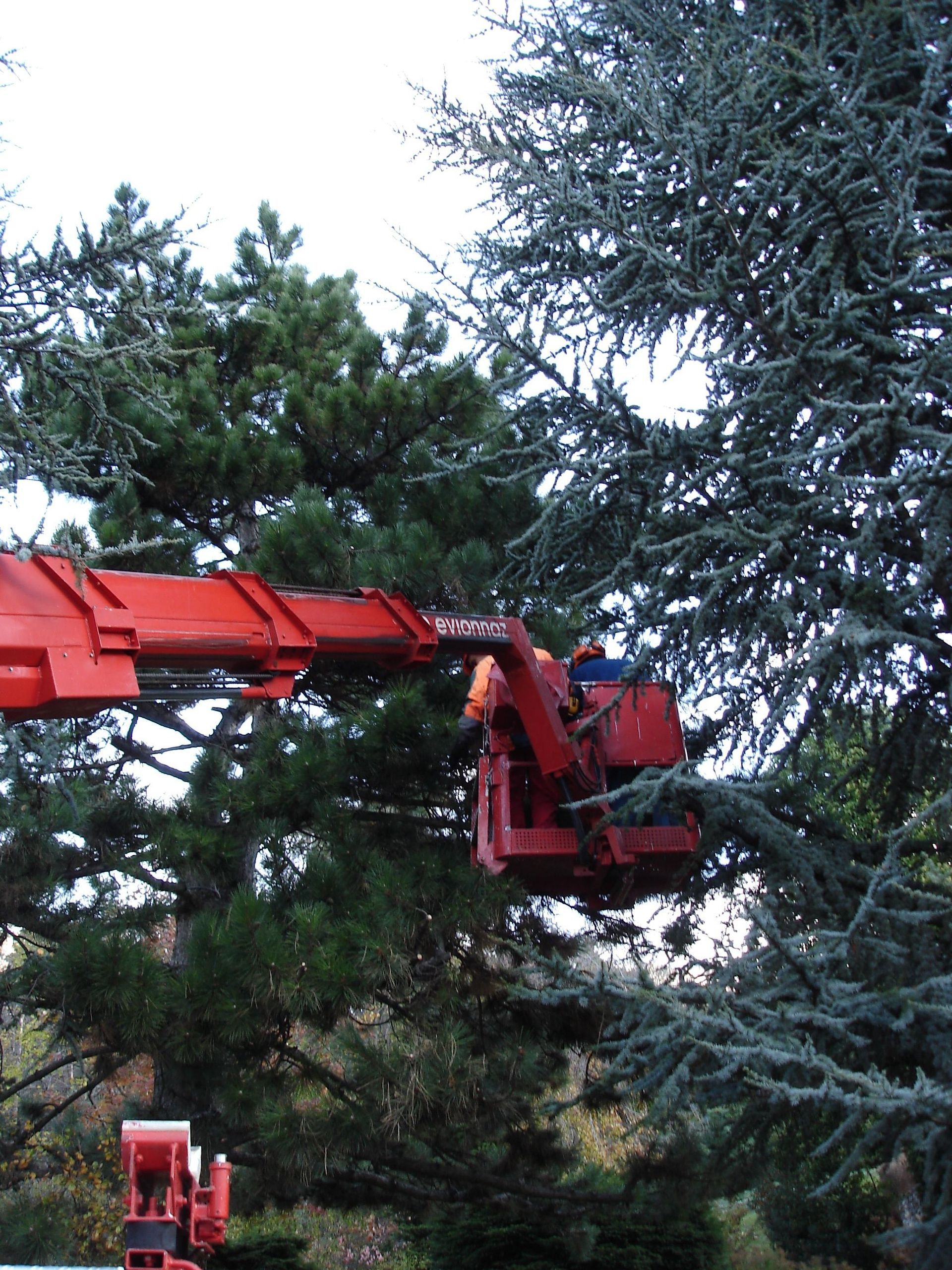 Naoux Paysagiste - watering