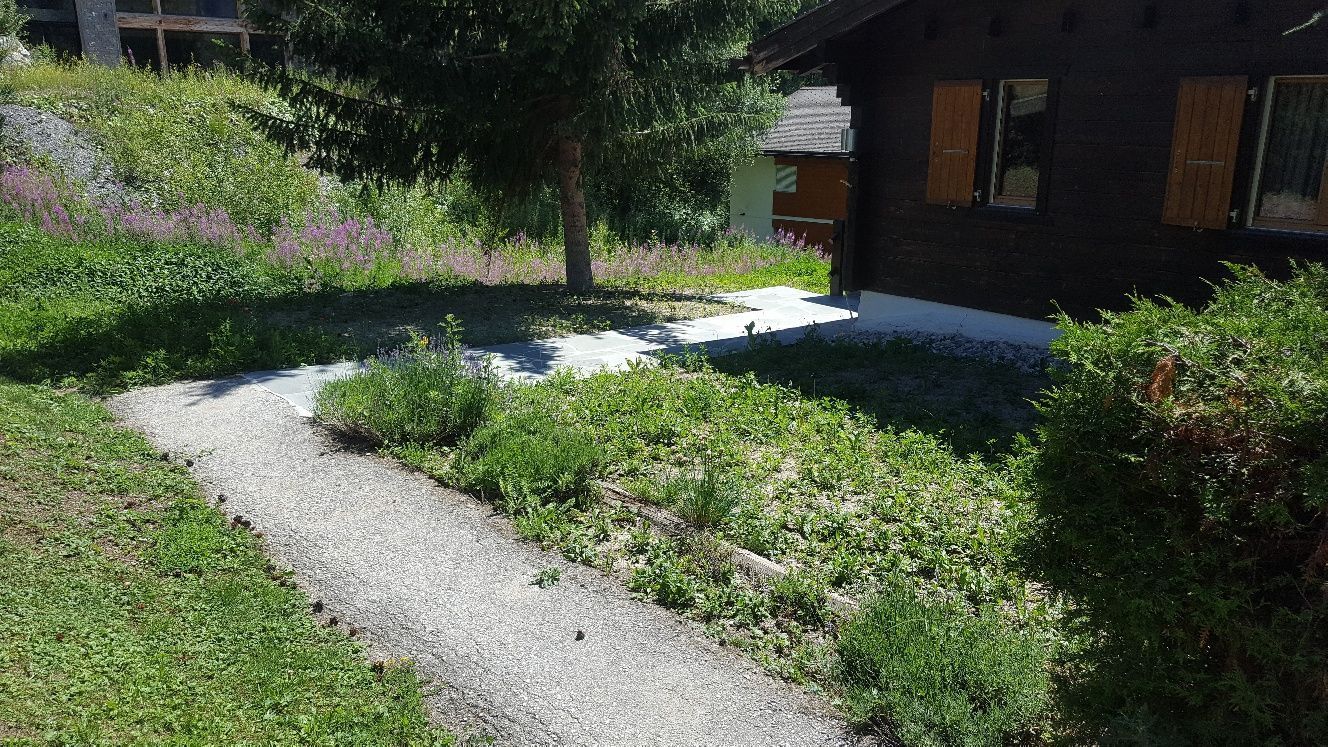 Naoux Paysagiste - watering