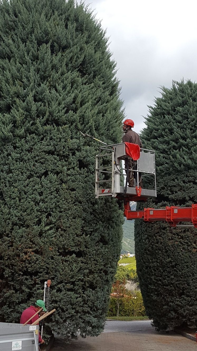 Naoux Paysagiste - watering
