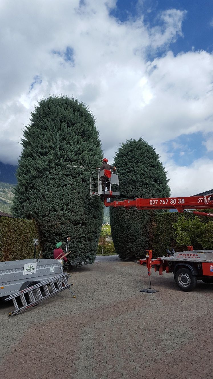 Naoux Paysagiste - watering