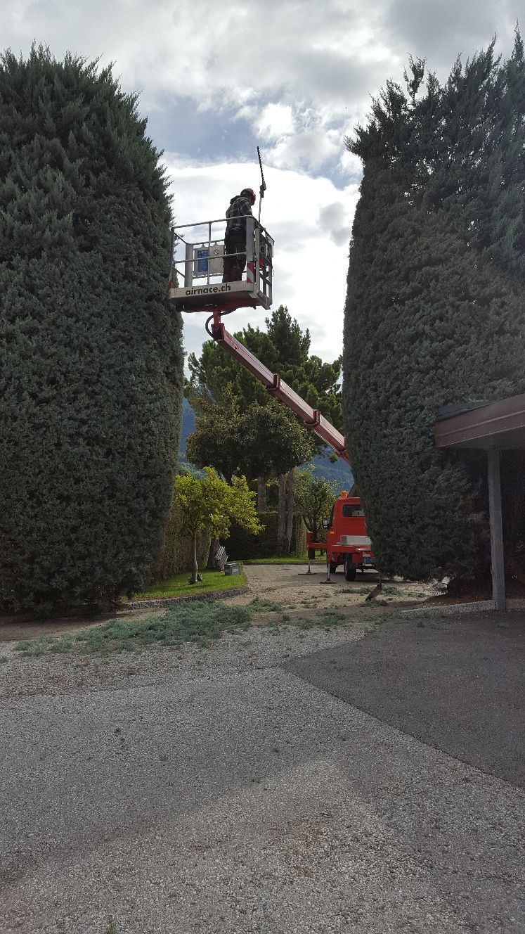 Naoux Paysagiste - watering