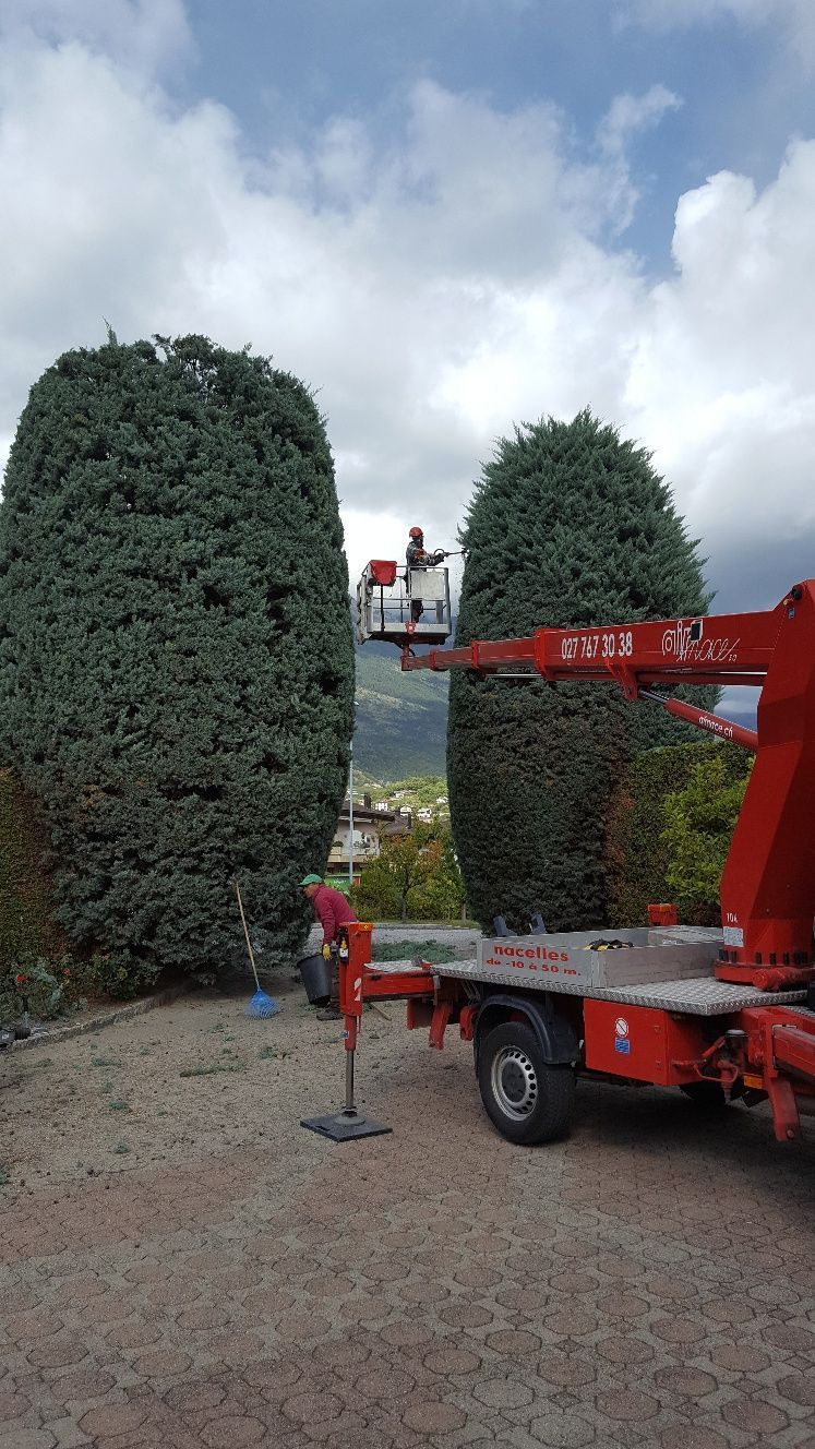 Naoux Paysagiste - watering