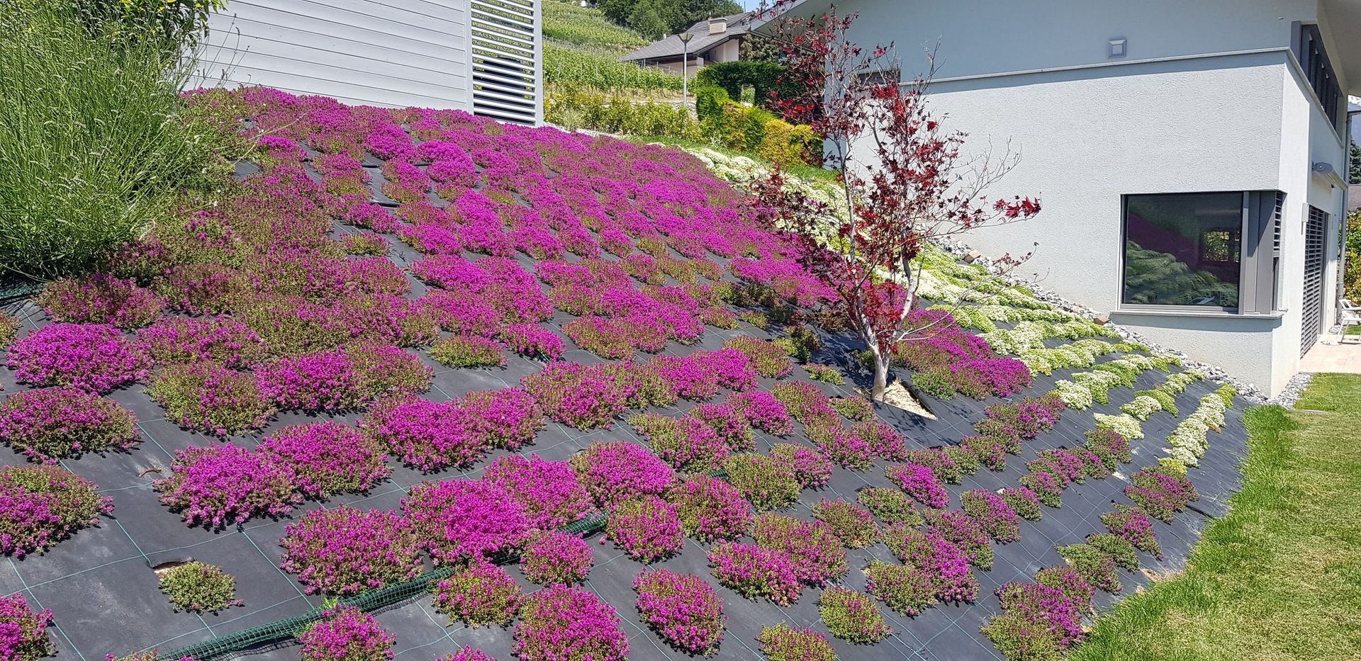 Naoux Paysagiste - watering