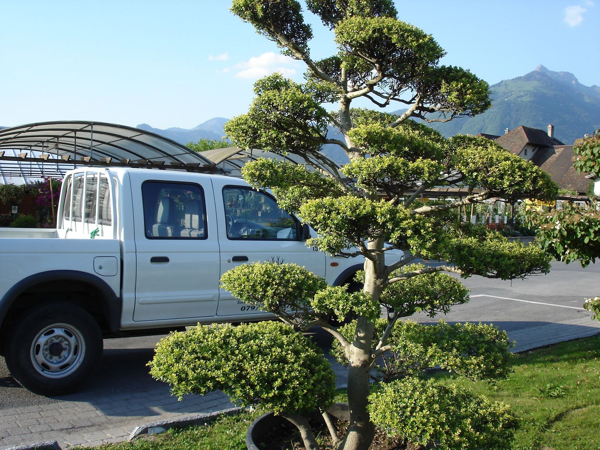 Naoux Paysagiste - watering