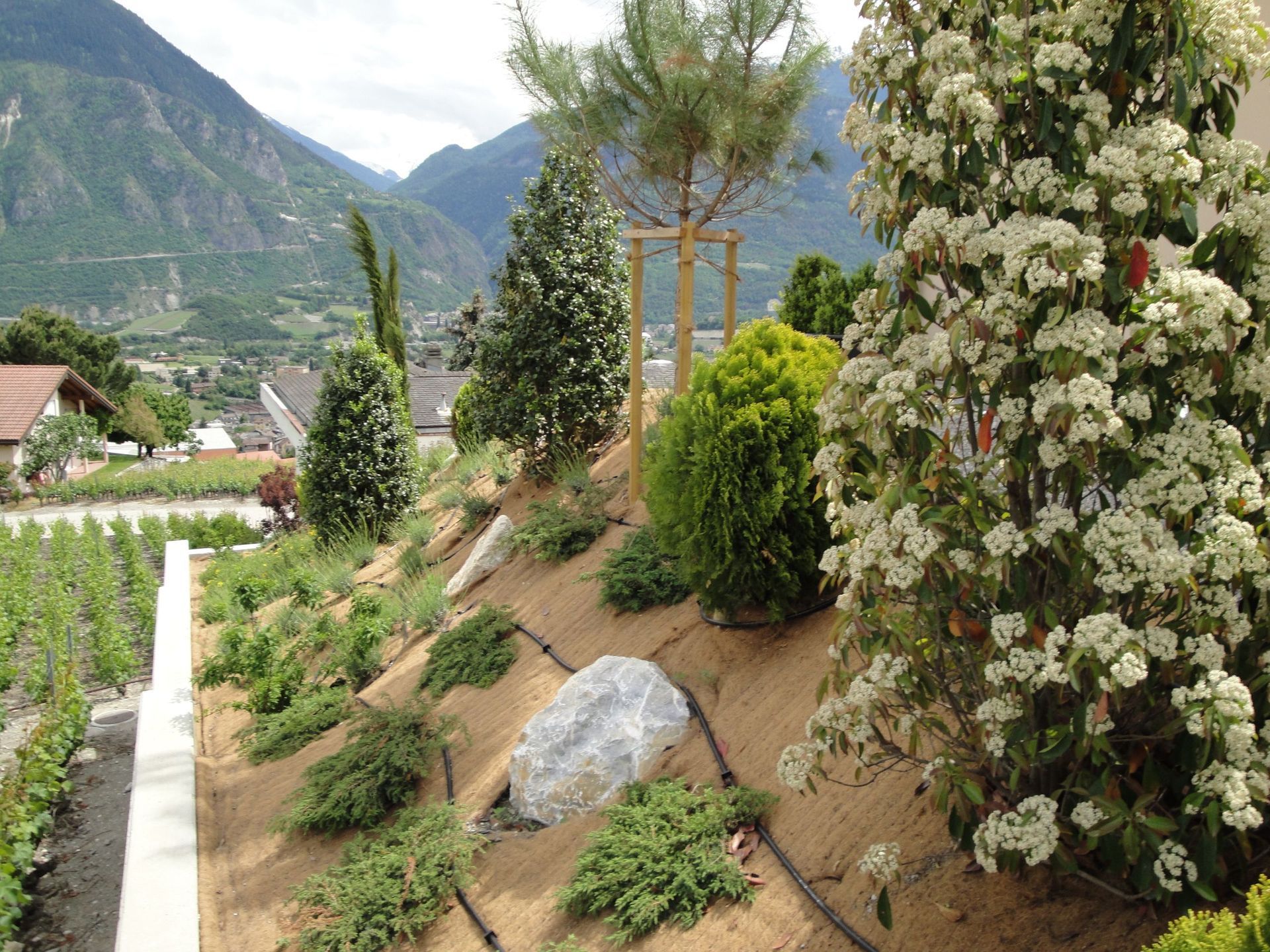 Naoux Paysagiste - watering