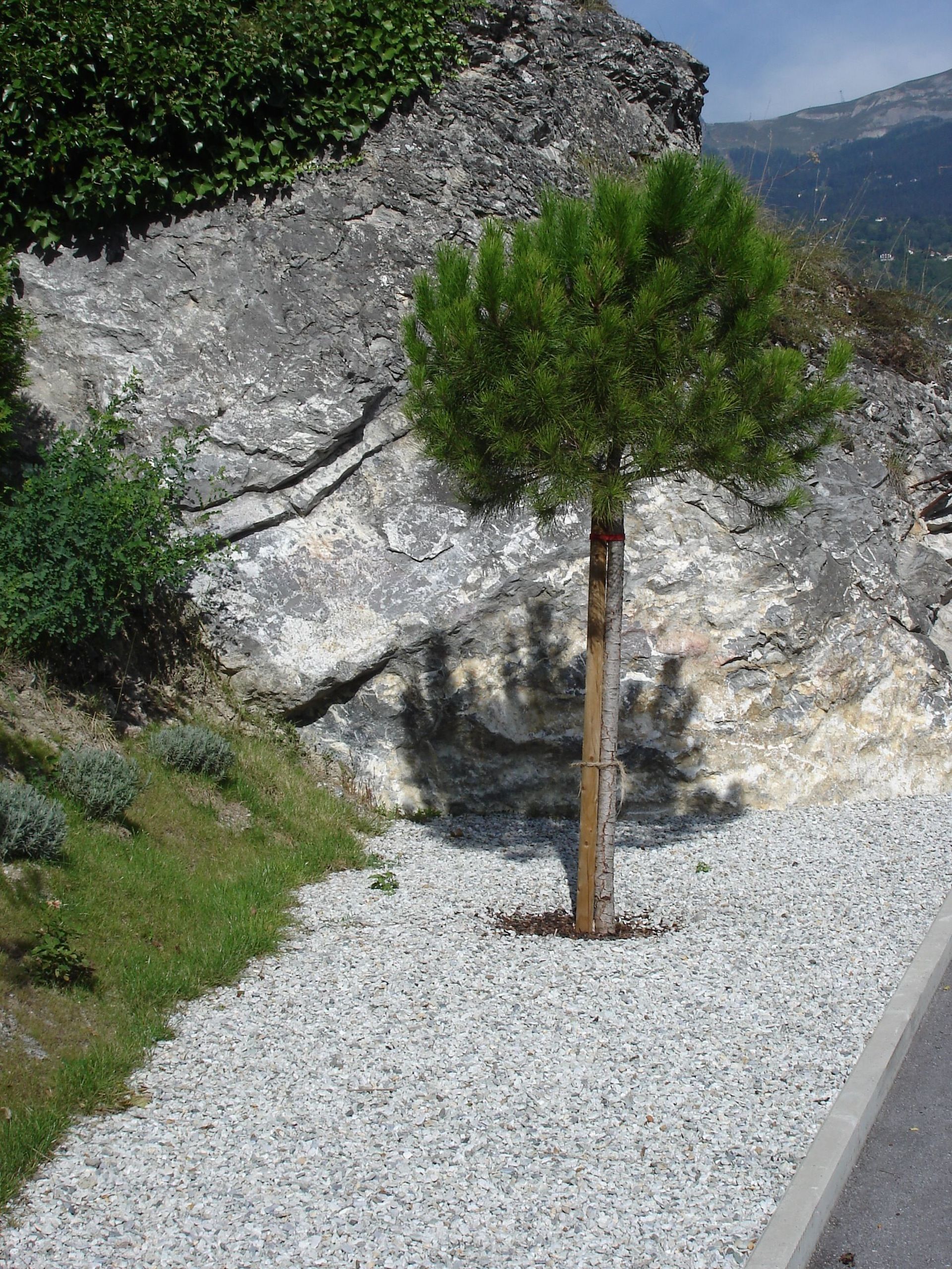 Naoux Paysagiste - watering