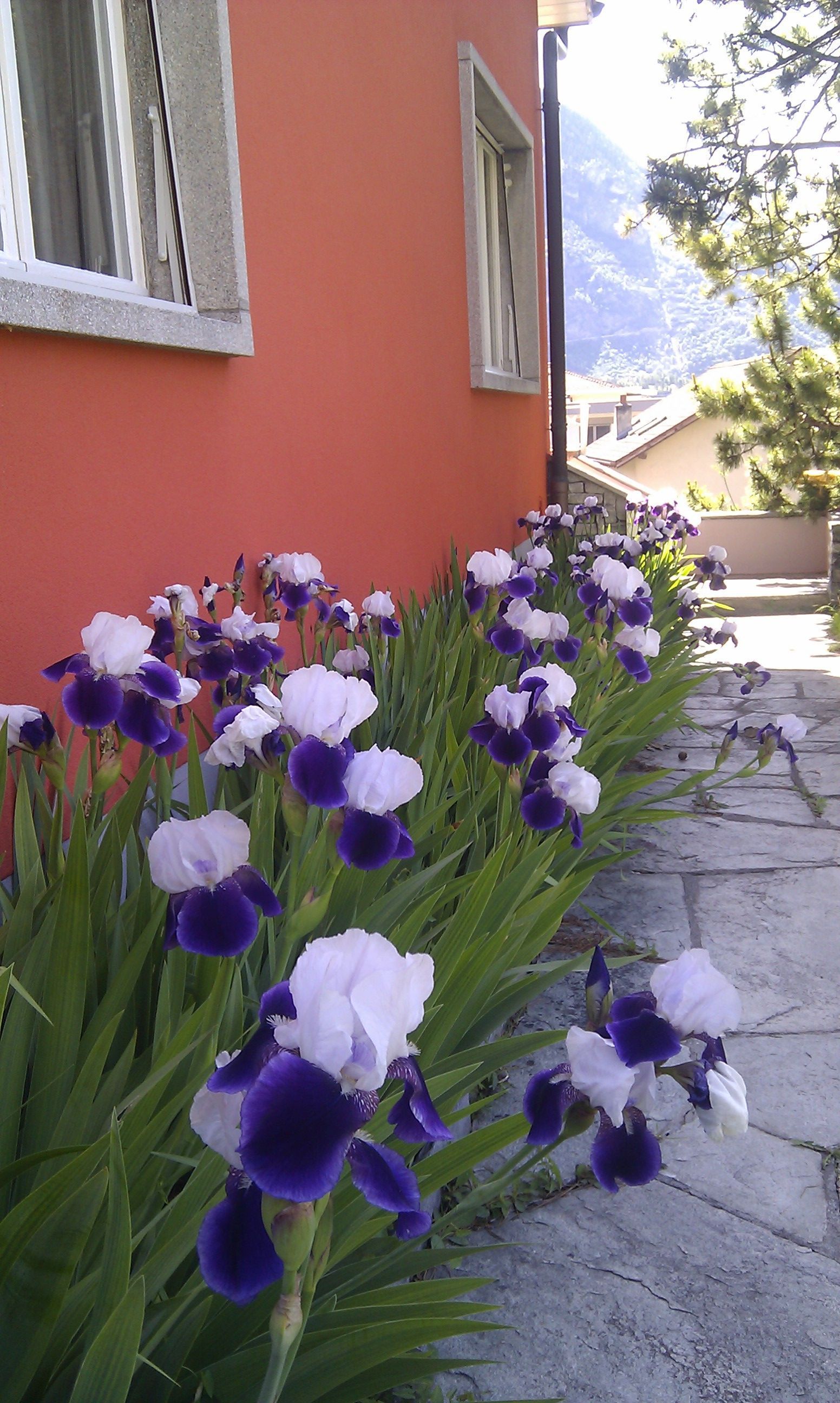 Naoux Paysagiste - watering