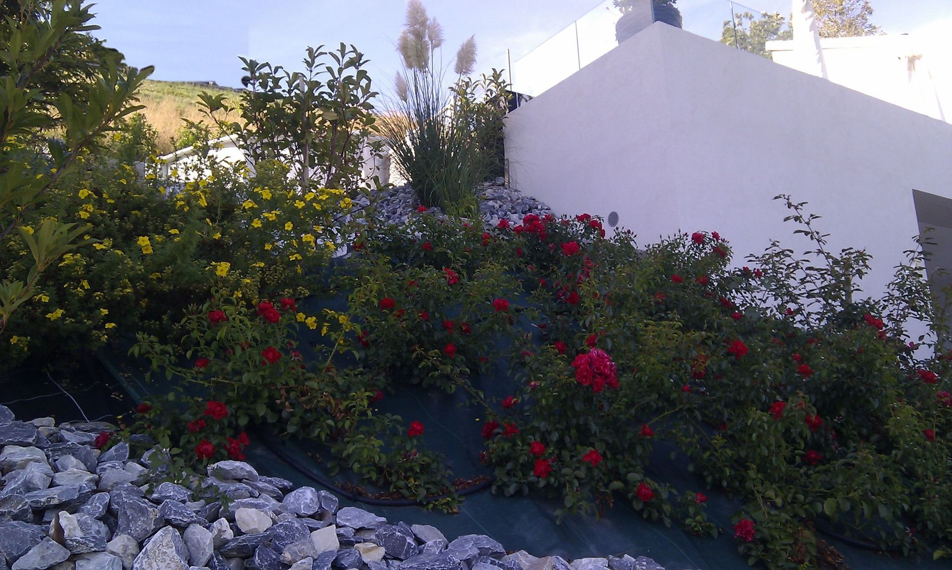 Naoux Paysagiste - watering