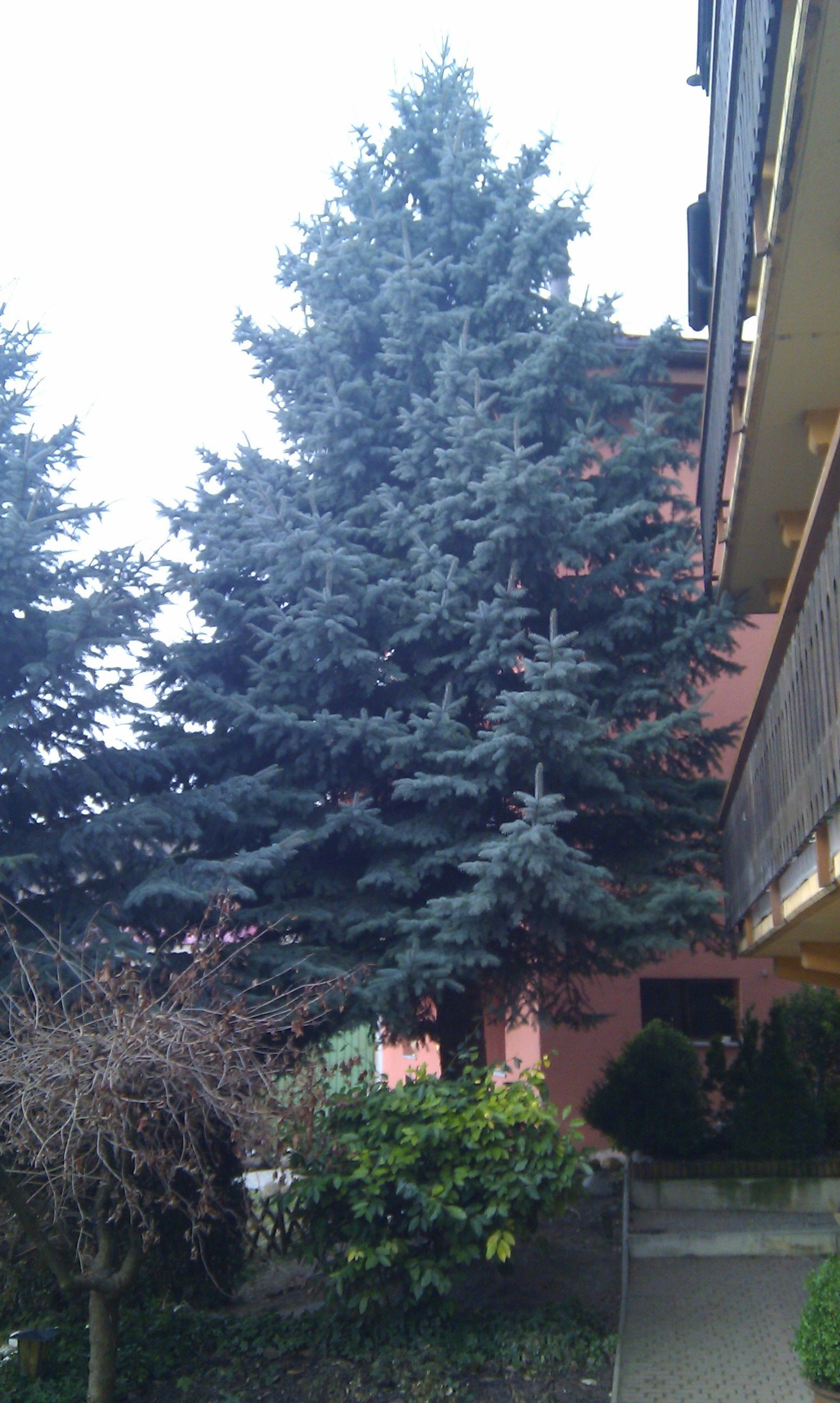 Naoux Paysagiste - watering