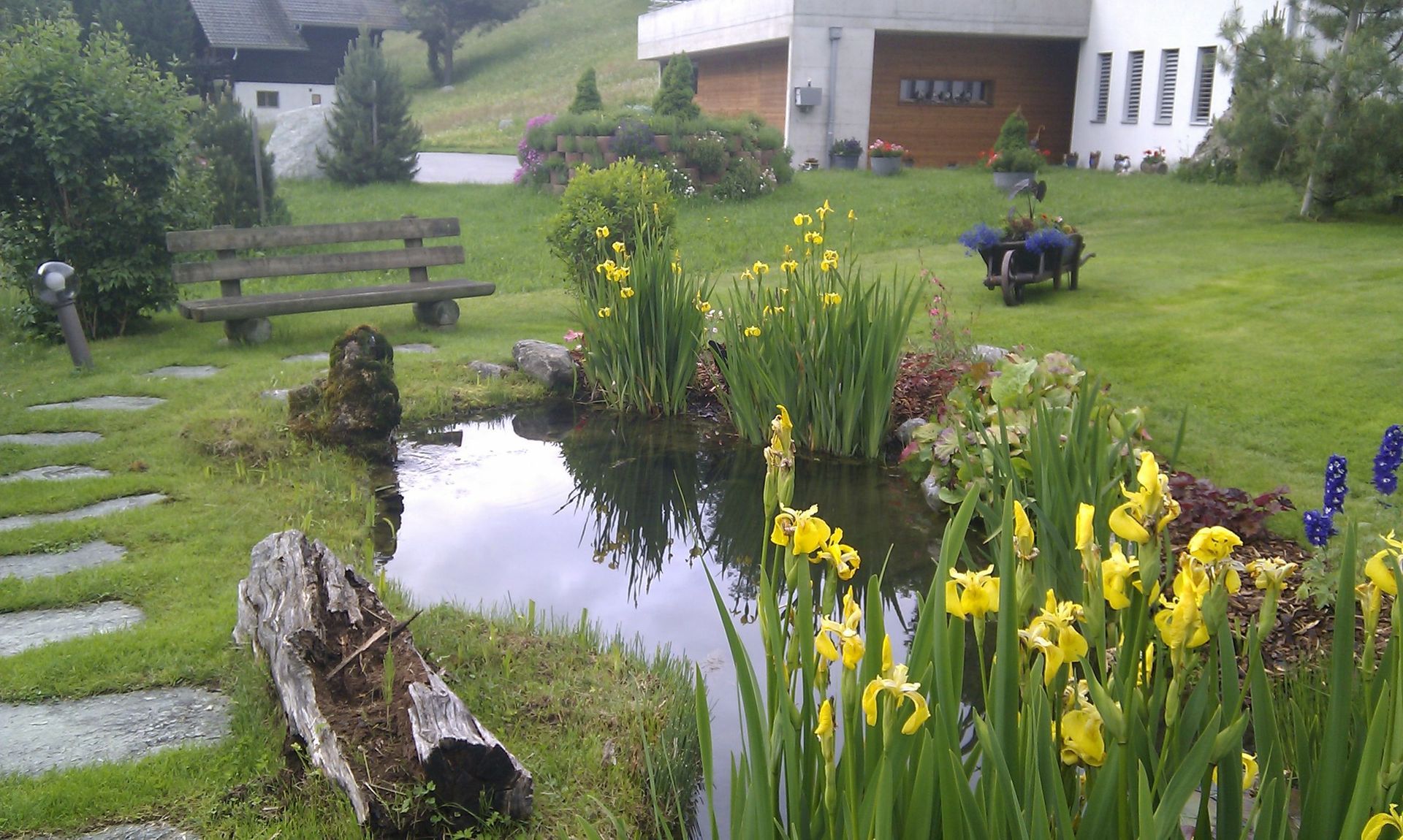 Naoux Paysagiste - watering