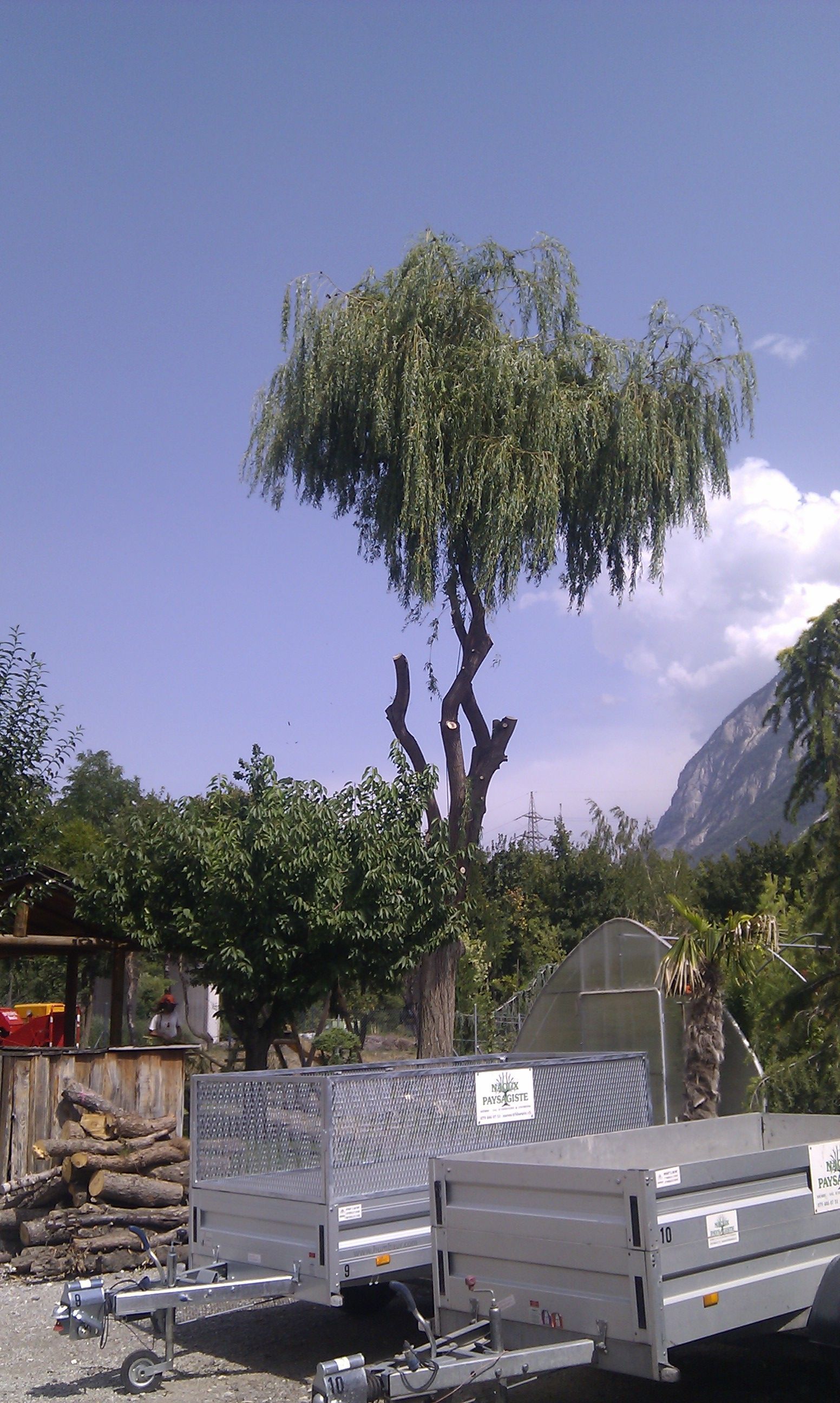 Naoux Paysagiste - watering