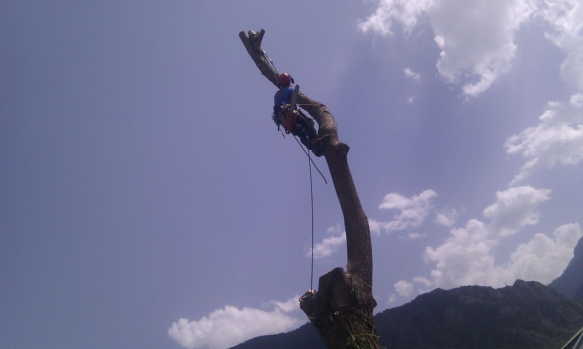 Naoux Paysagiste - watering